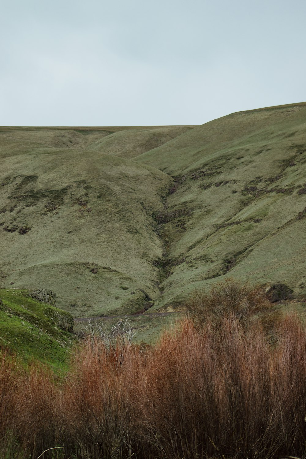 a grassy hill with a few bushes in the foreground