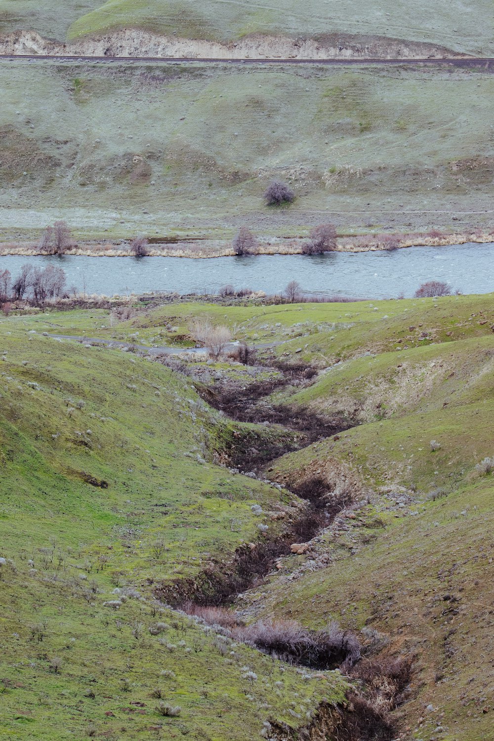 a cow standing on top of a lush green hillside