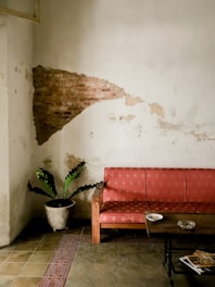 a living room with a red couch and a potted plant