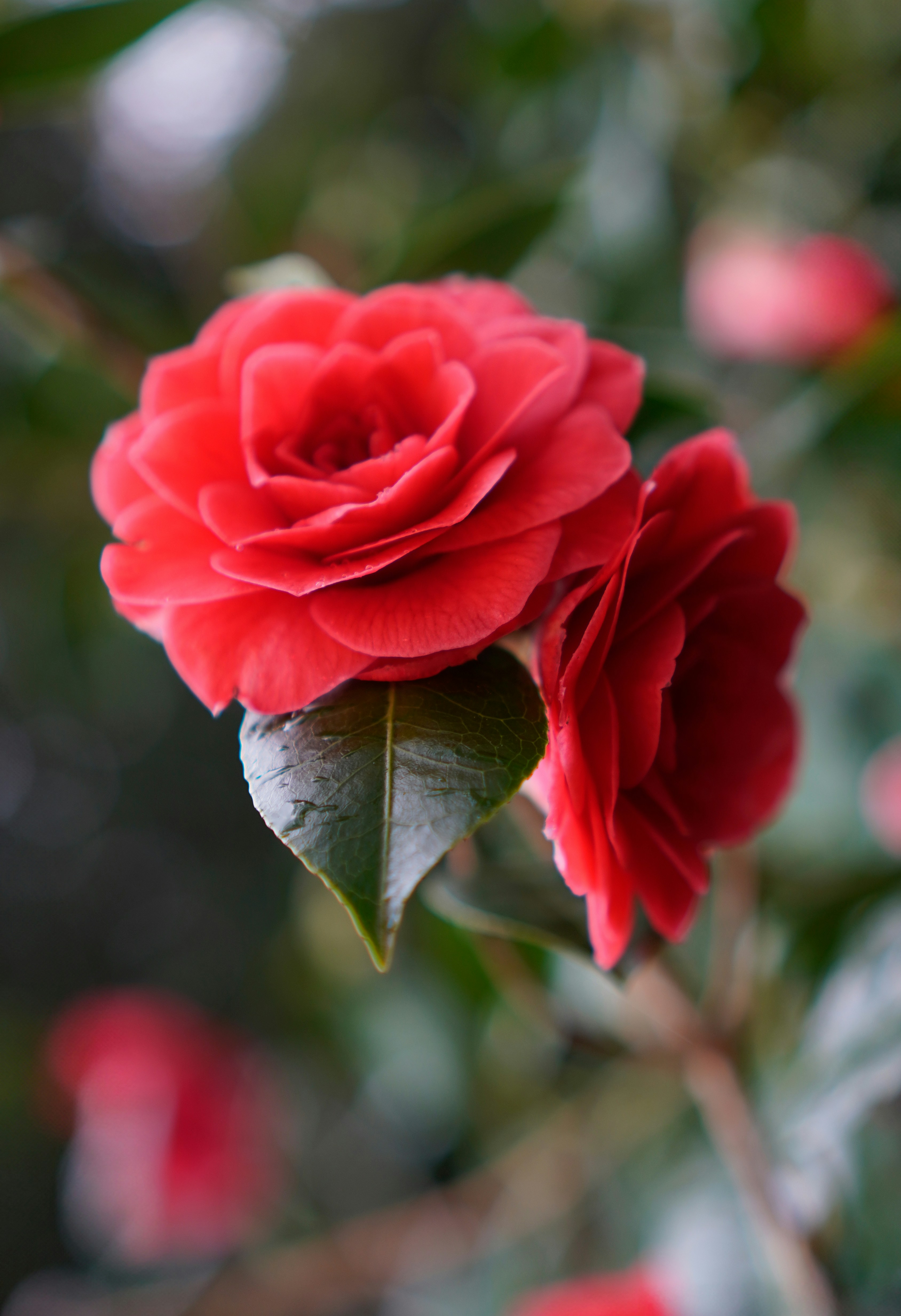 Photo by nataliagasiorowska