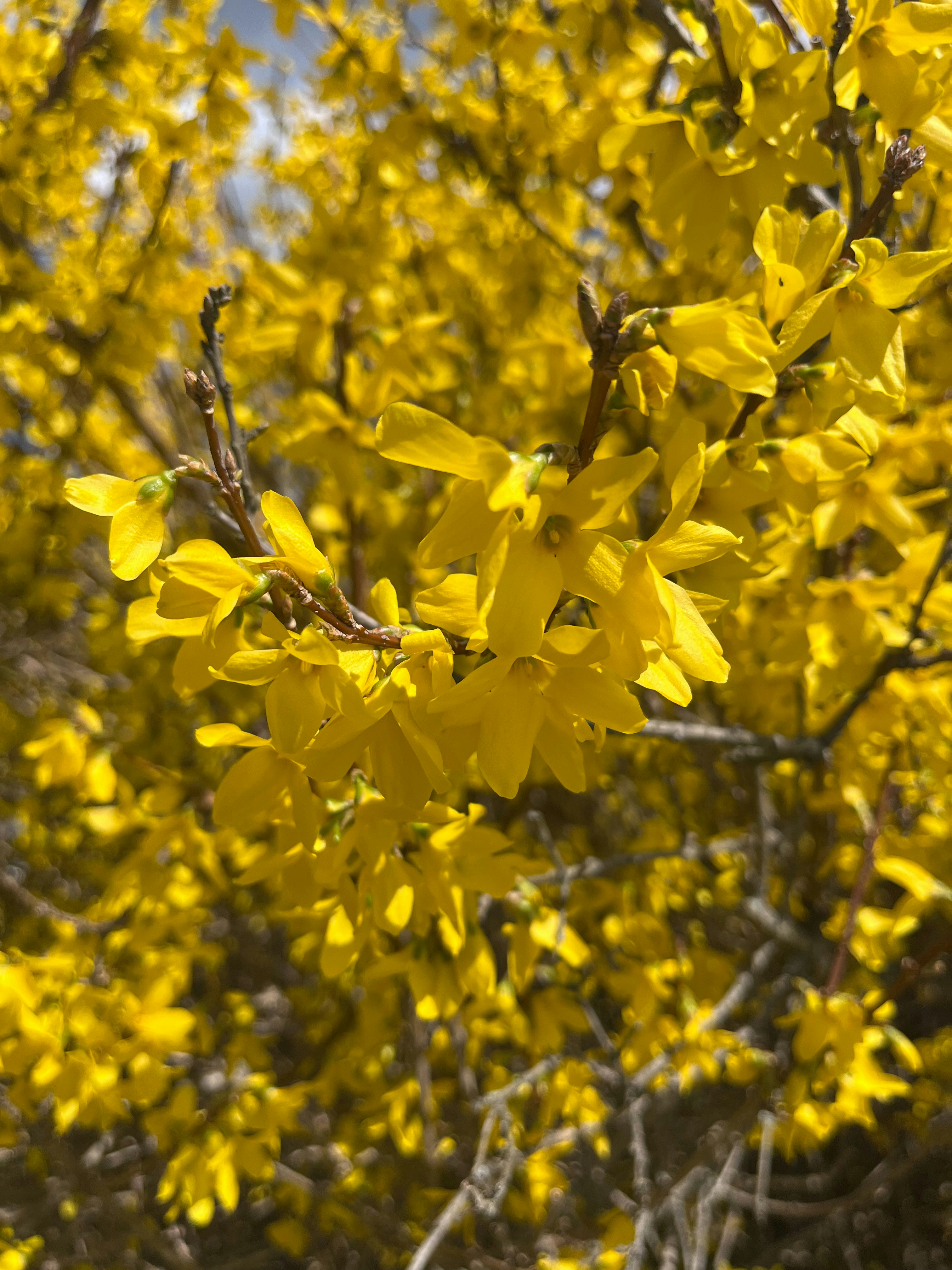 Photo by aibhlinnrori