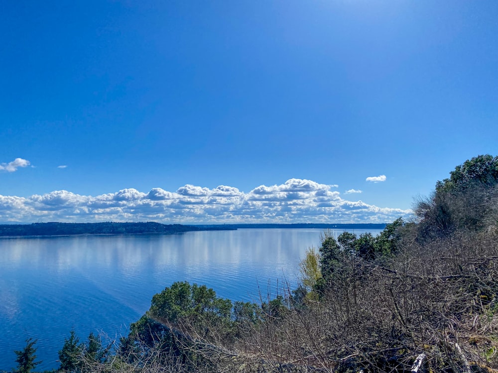 un grande specchio d'acqua circondato da alberi