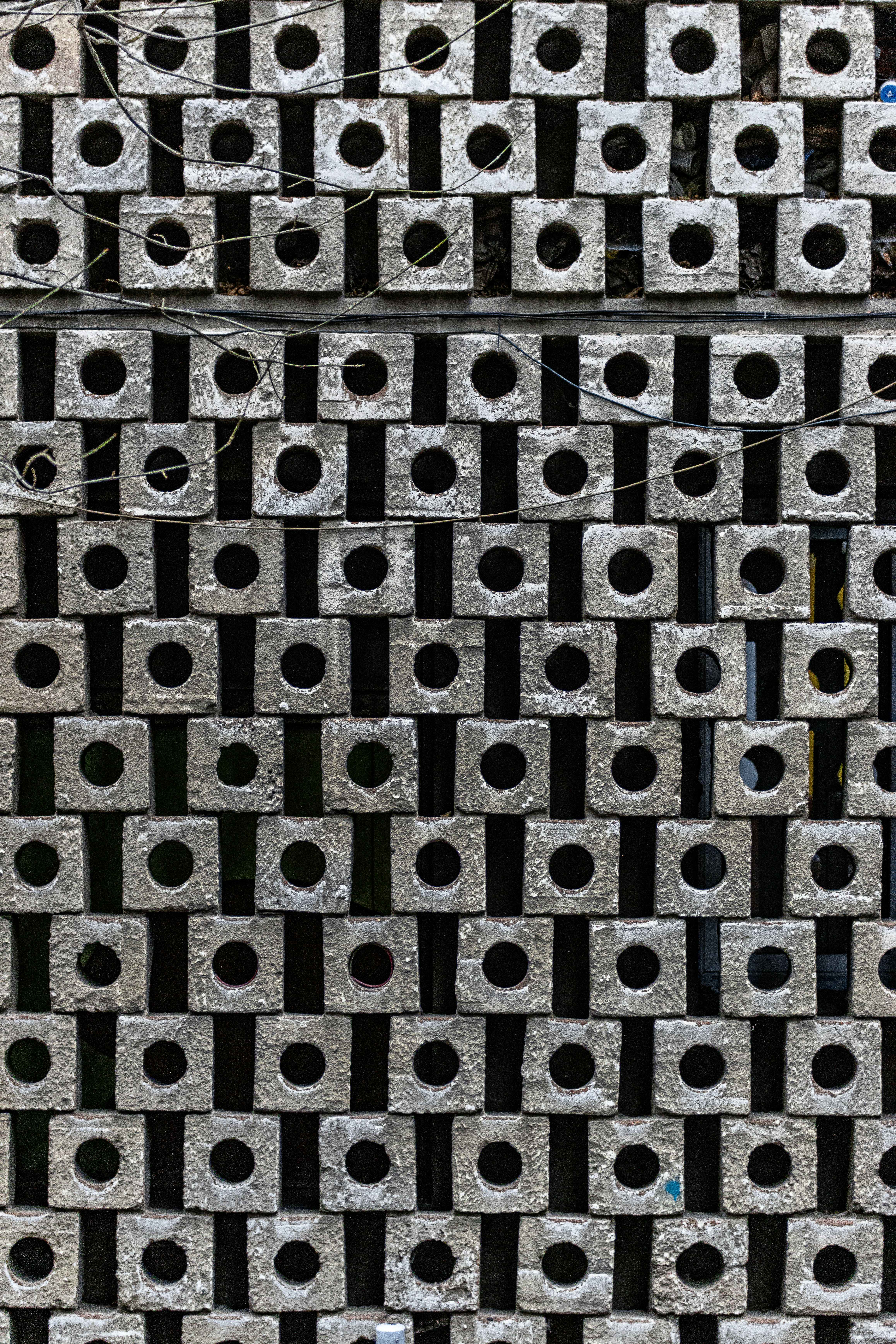 Photo by lazywhiskey