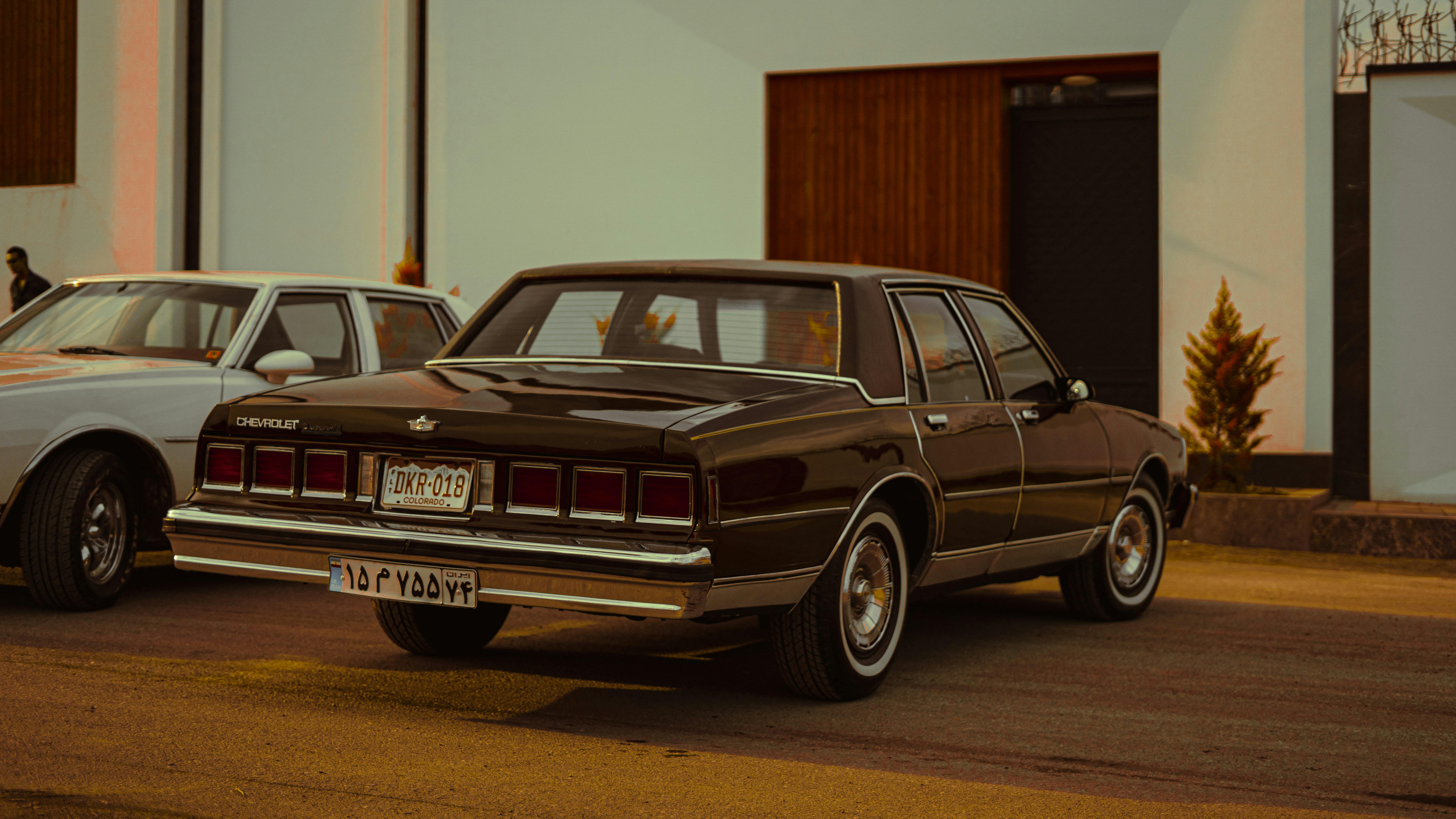 Photo by alihadadikia