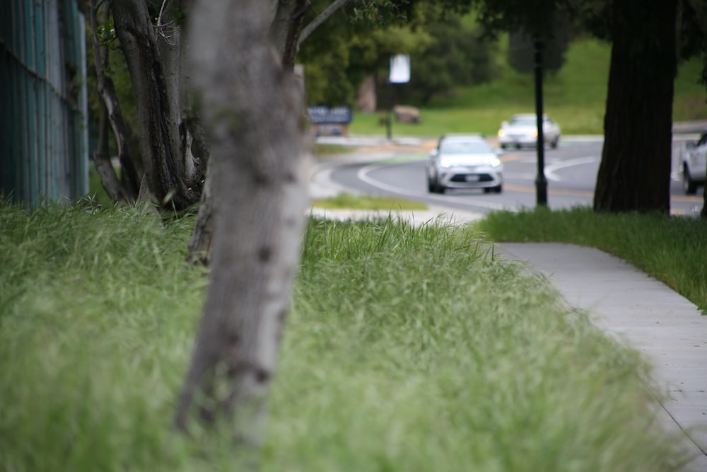 a car driving down a street next to a lush green hillside