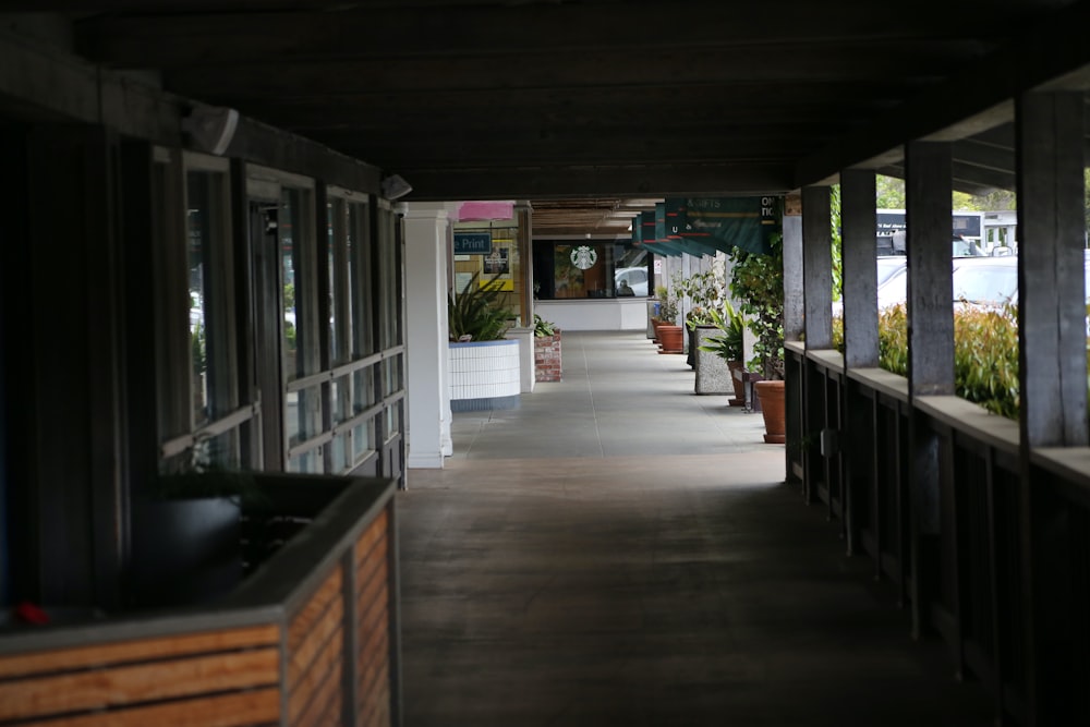 a long hallway lined with potted plants