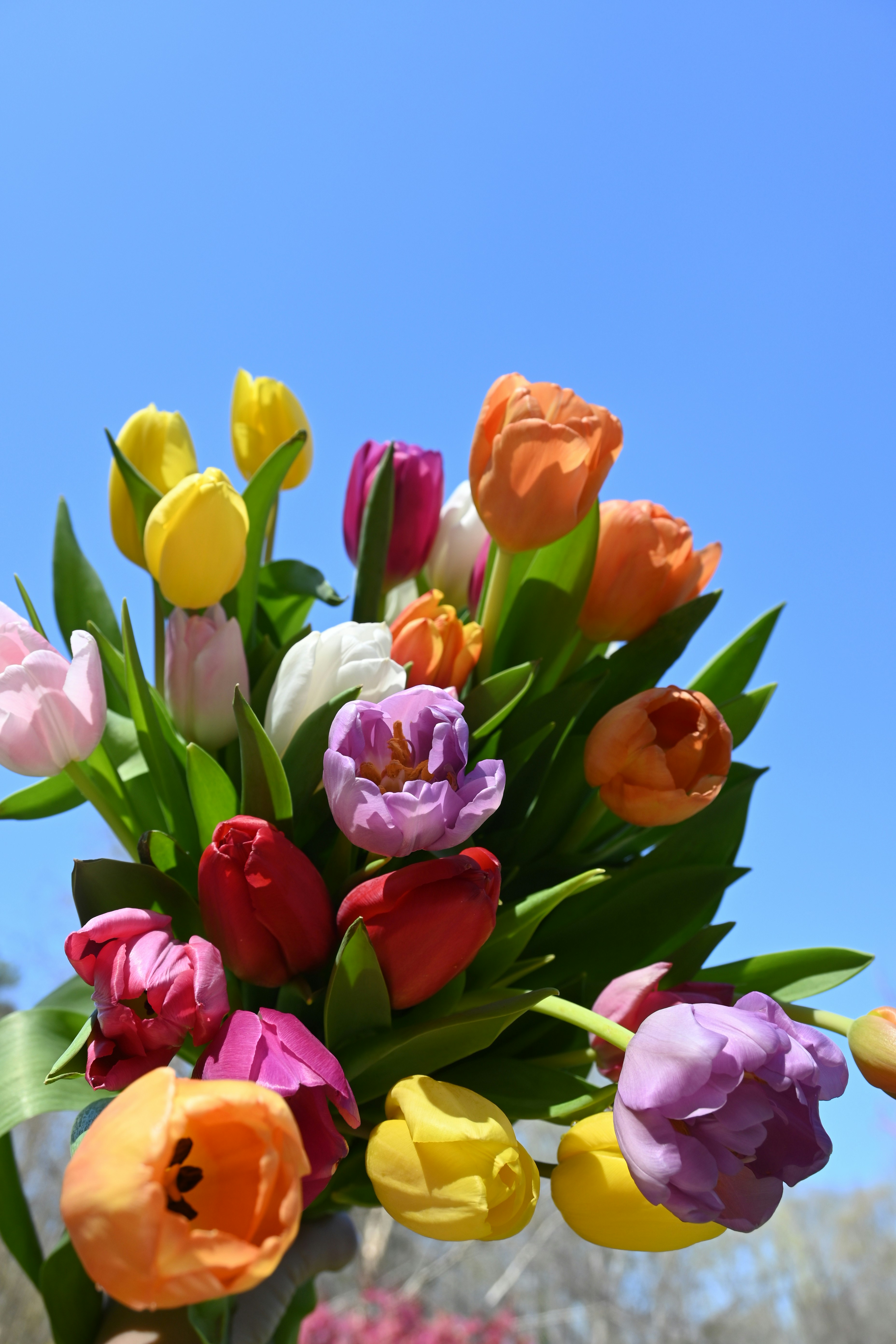 un jarrón lleno de muchas flores de colores