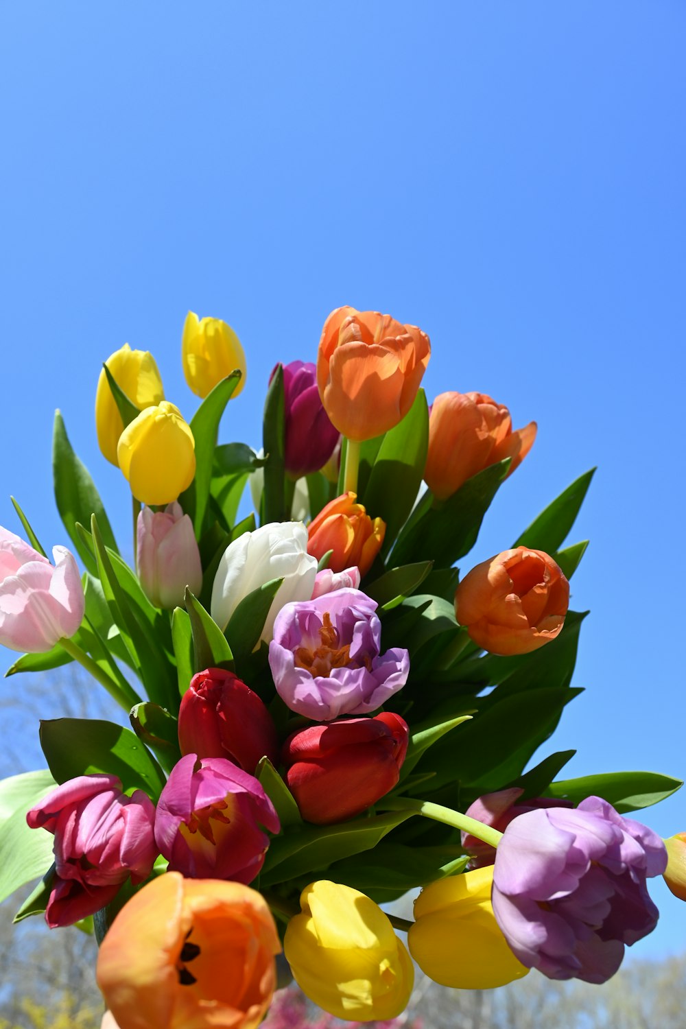 a vase filled with lots of colorful flowers