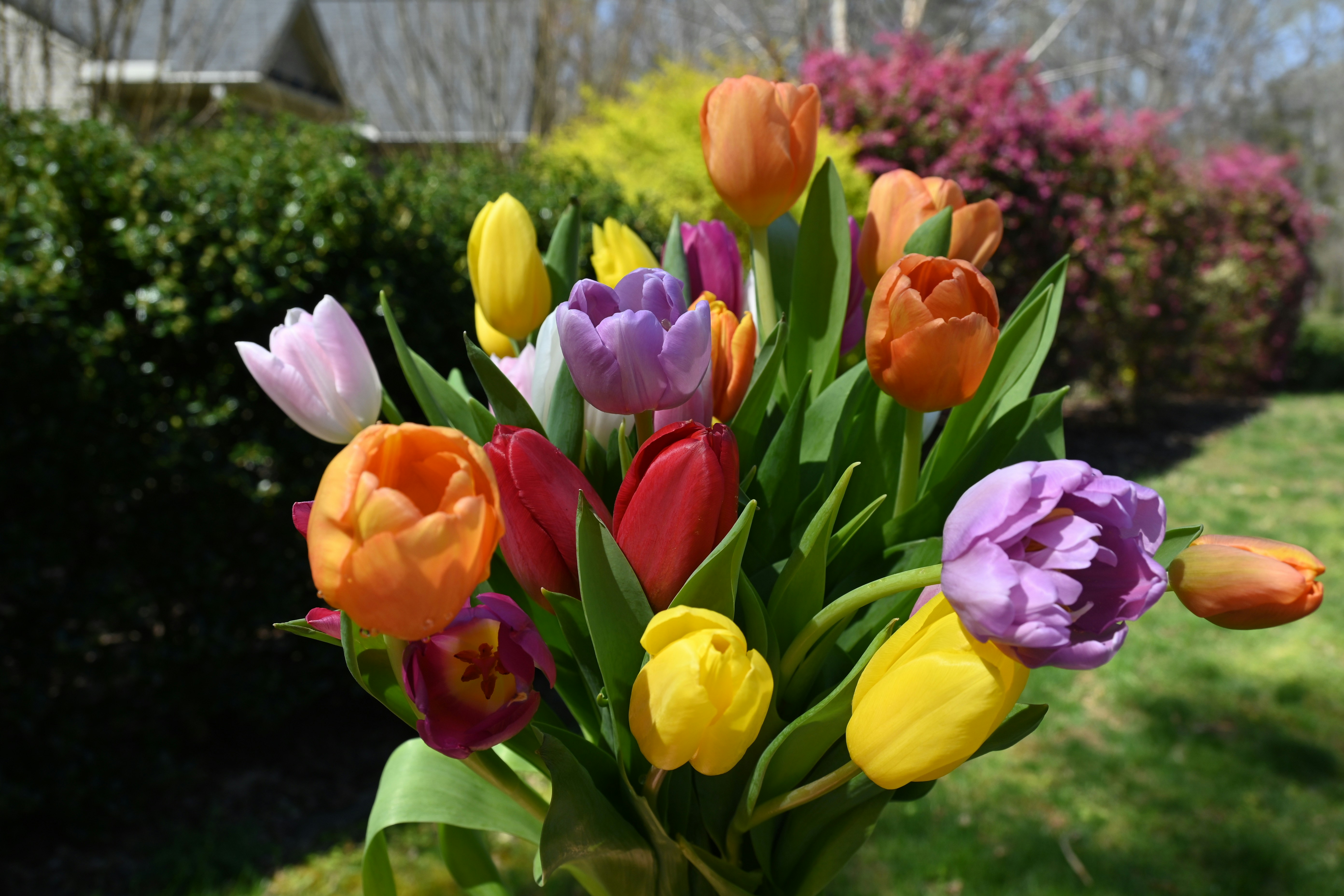 Photo by karolinabobek