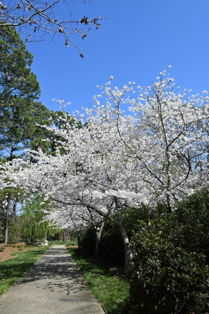 Corporate office space