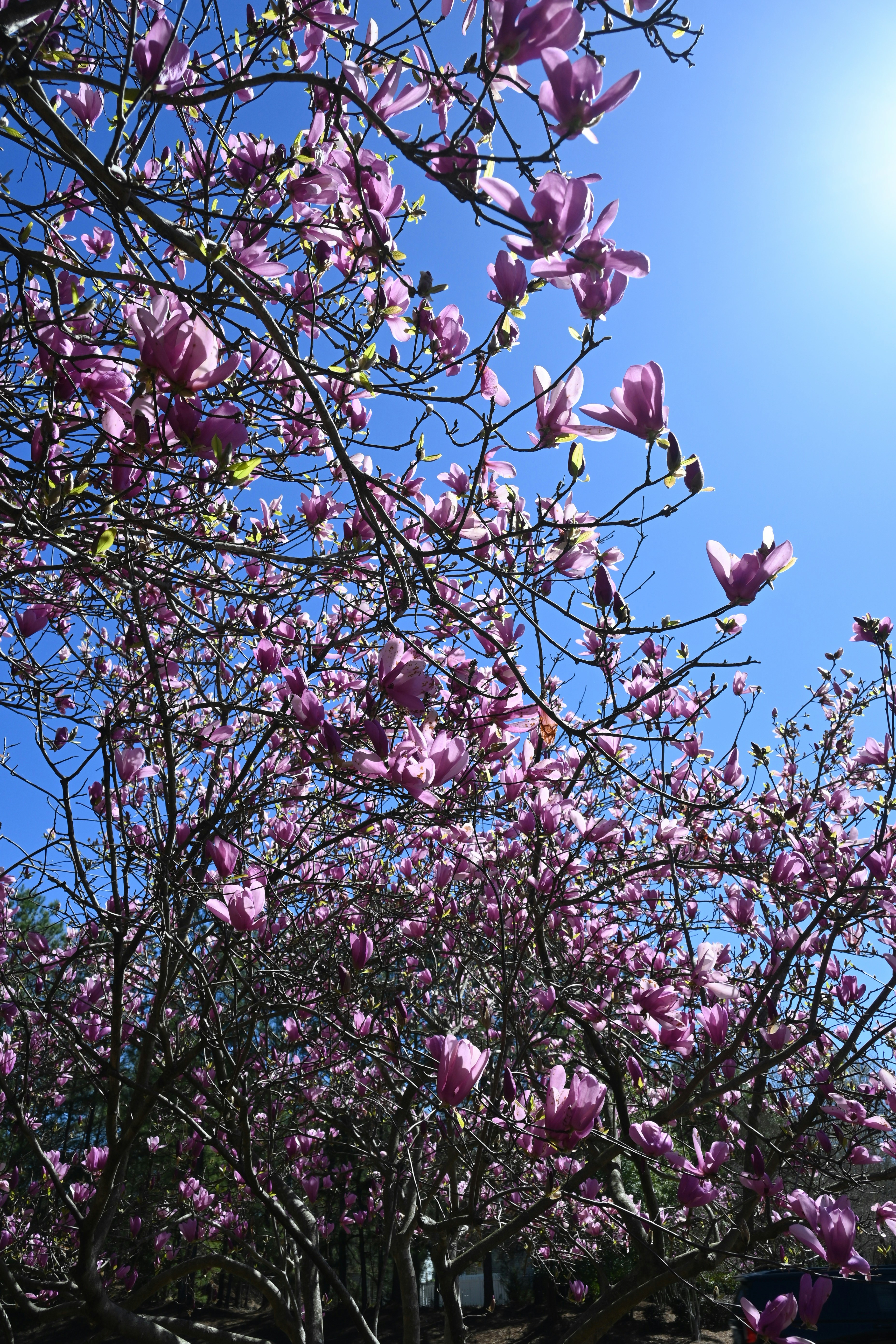 Photo by karolinabobek