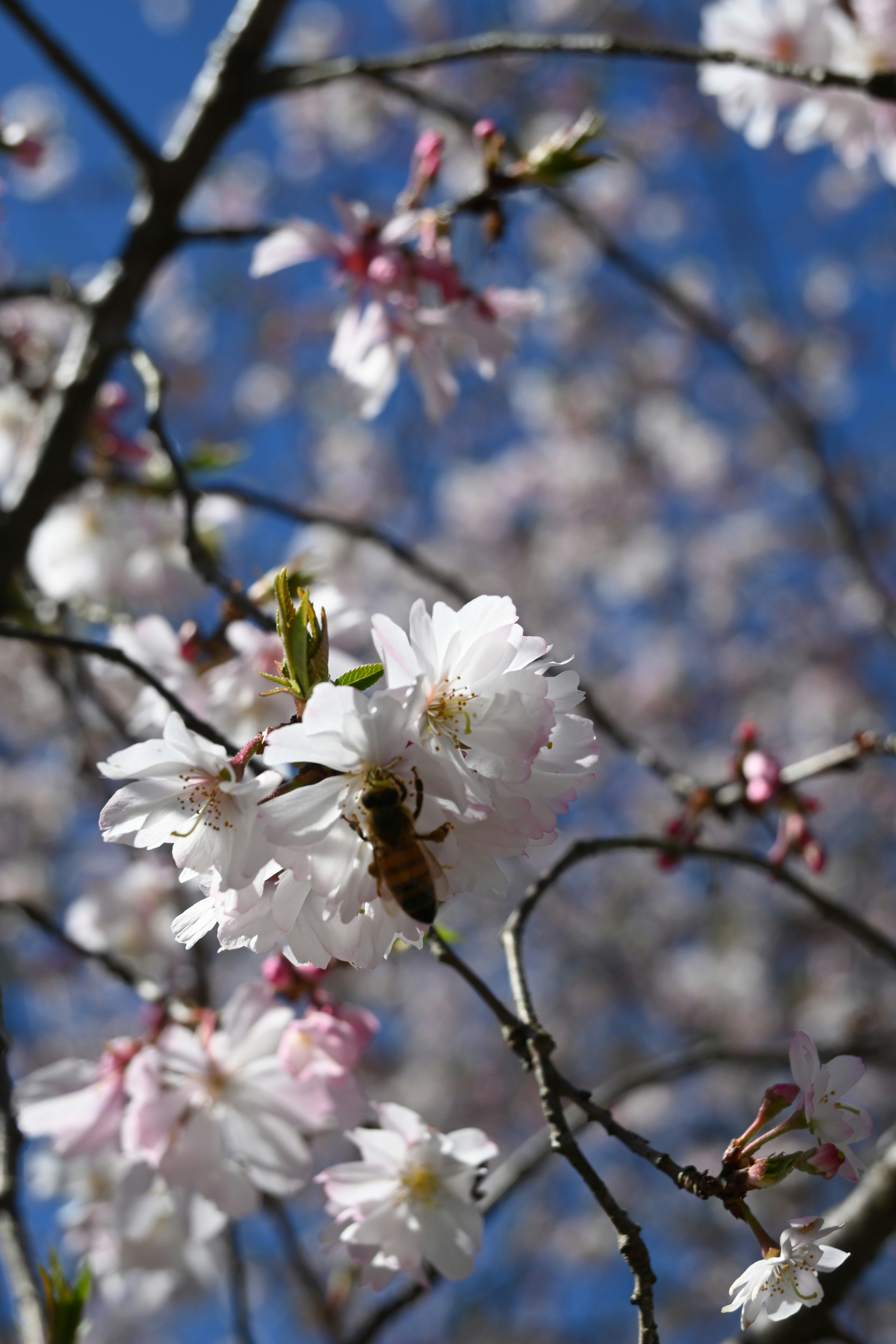 Photo by karolinabobek