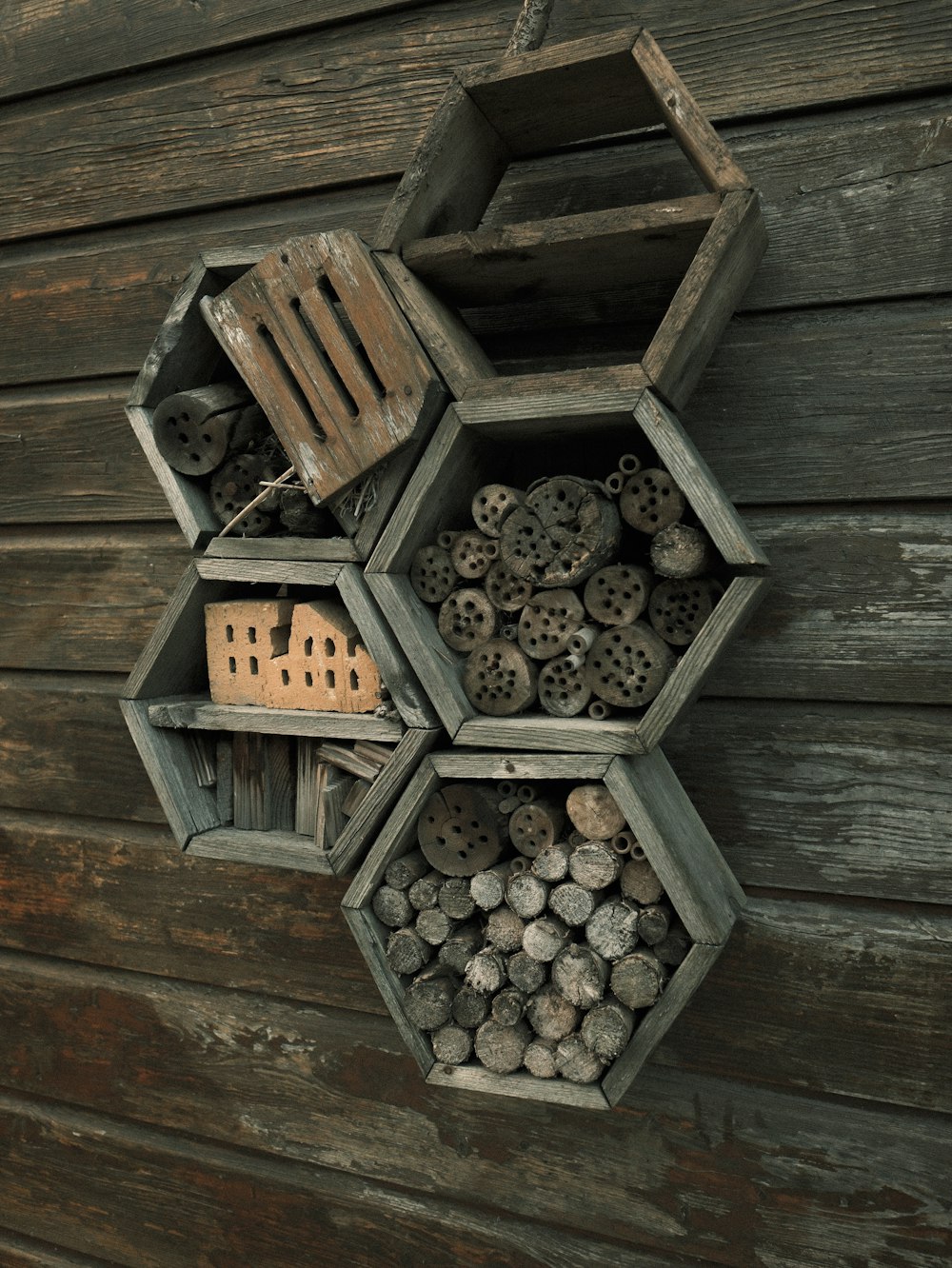 a bunch of bees are hanging on a wooden wall