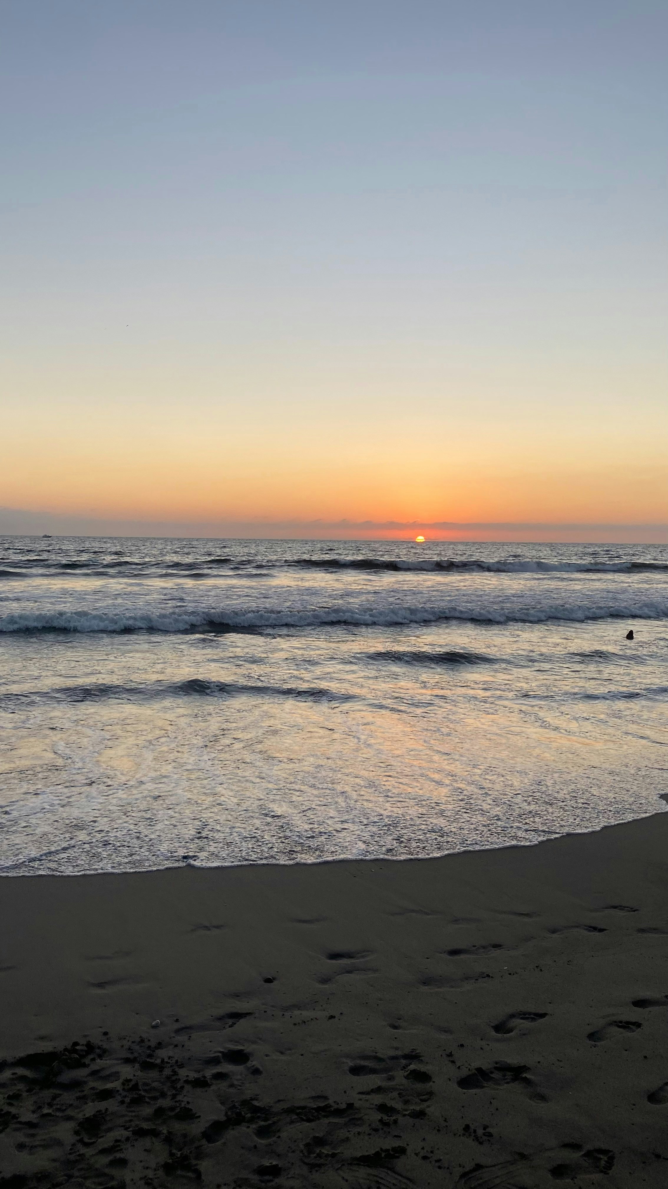 Photo by ferrossell338