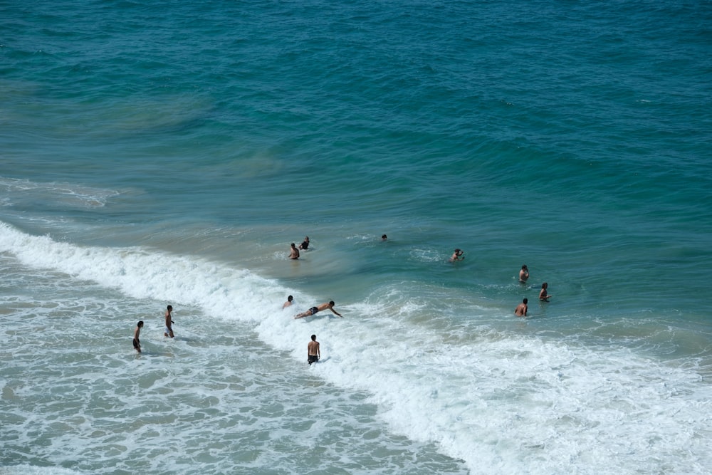 um grupo de pessoas nadando no oceano
