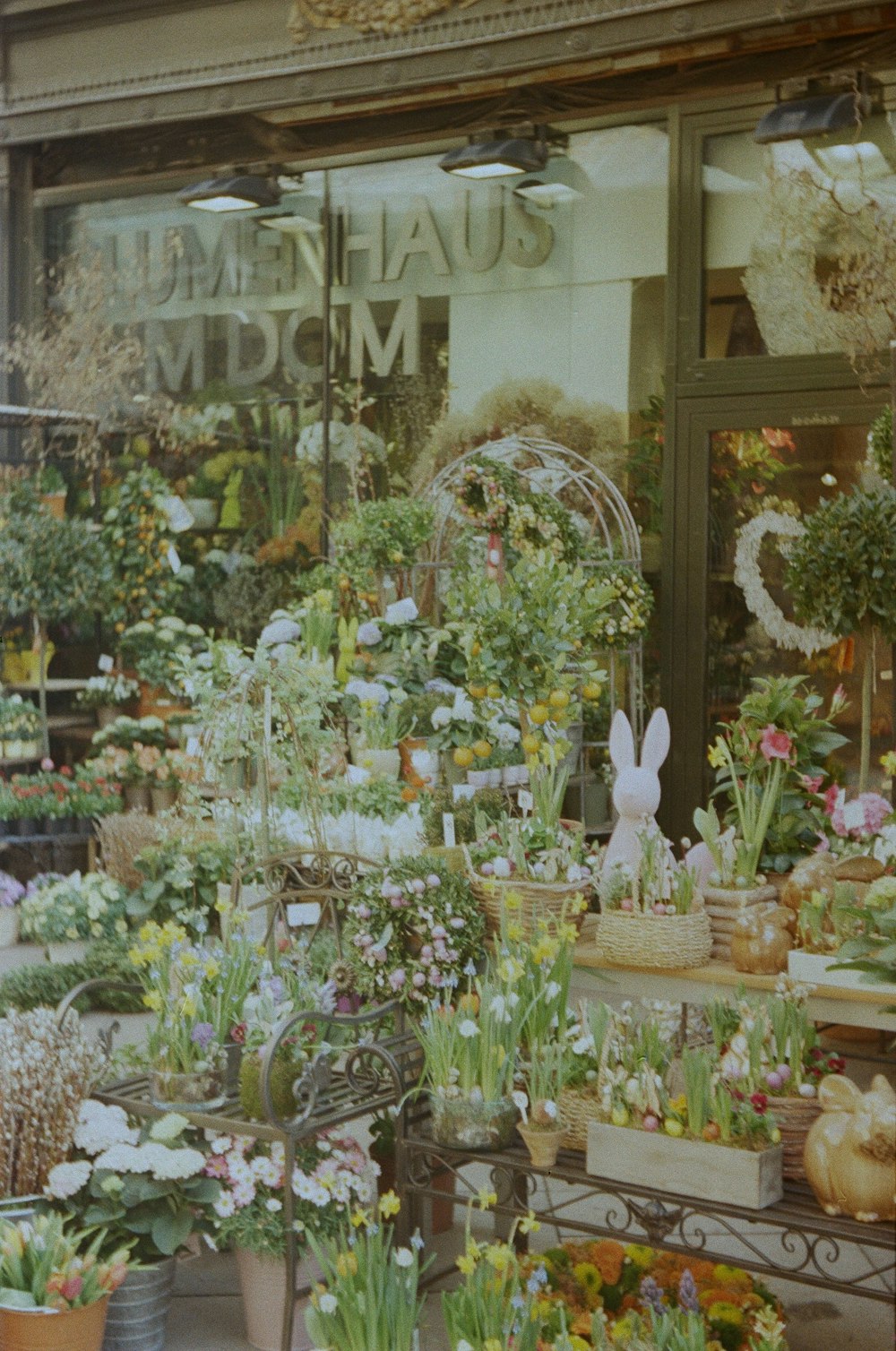 a flower shop filled with lots of different types of flowers