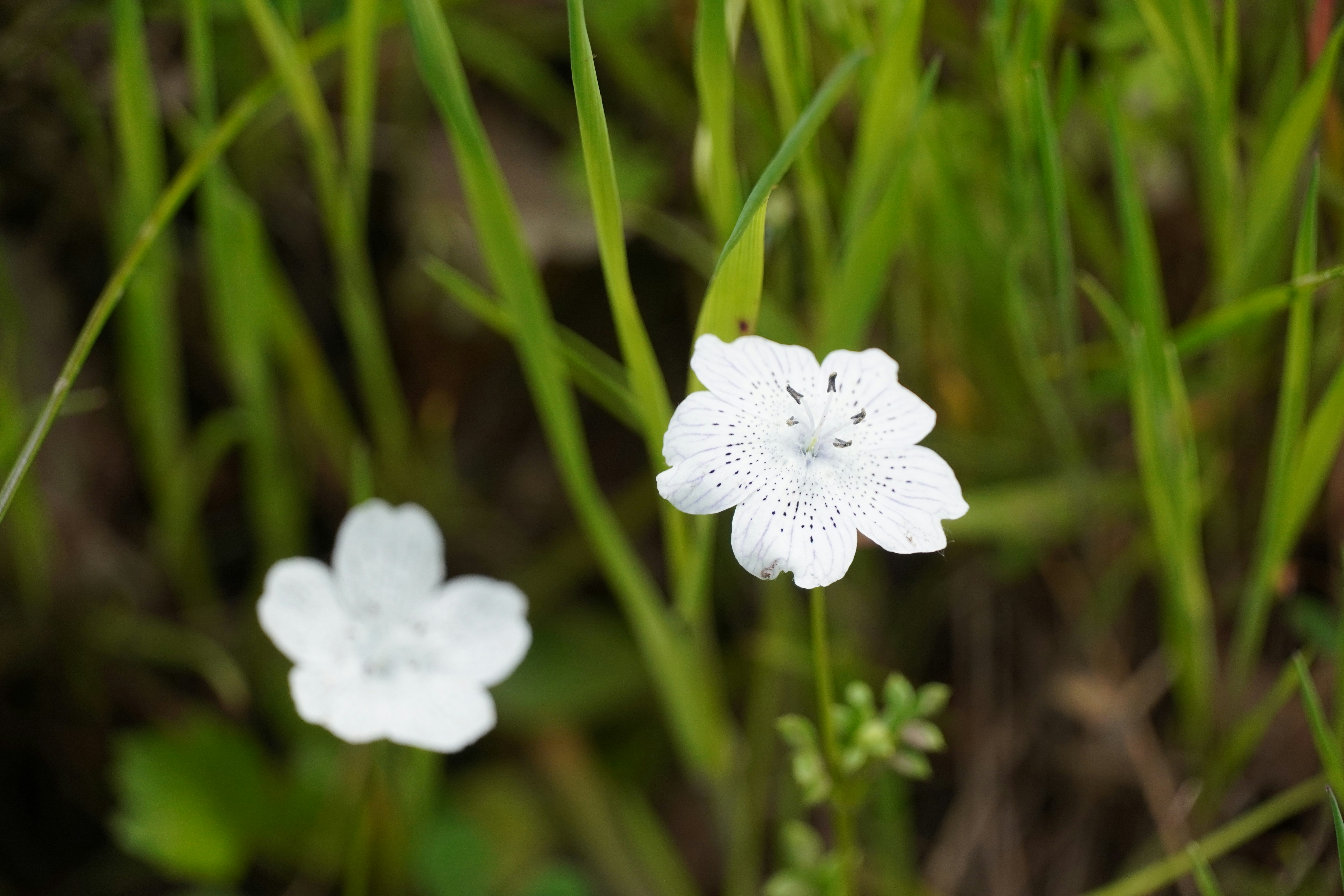 Photo by chapelbeach