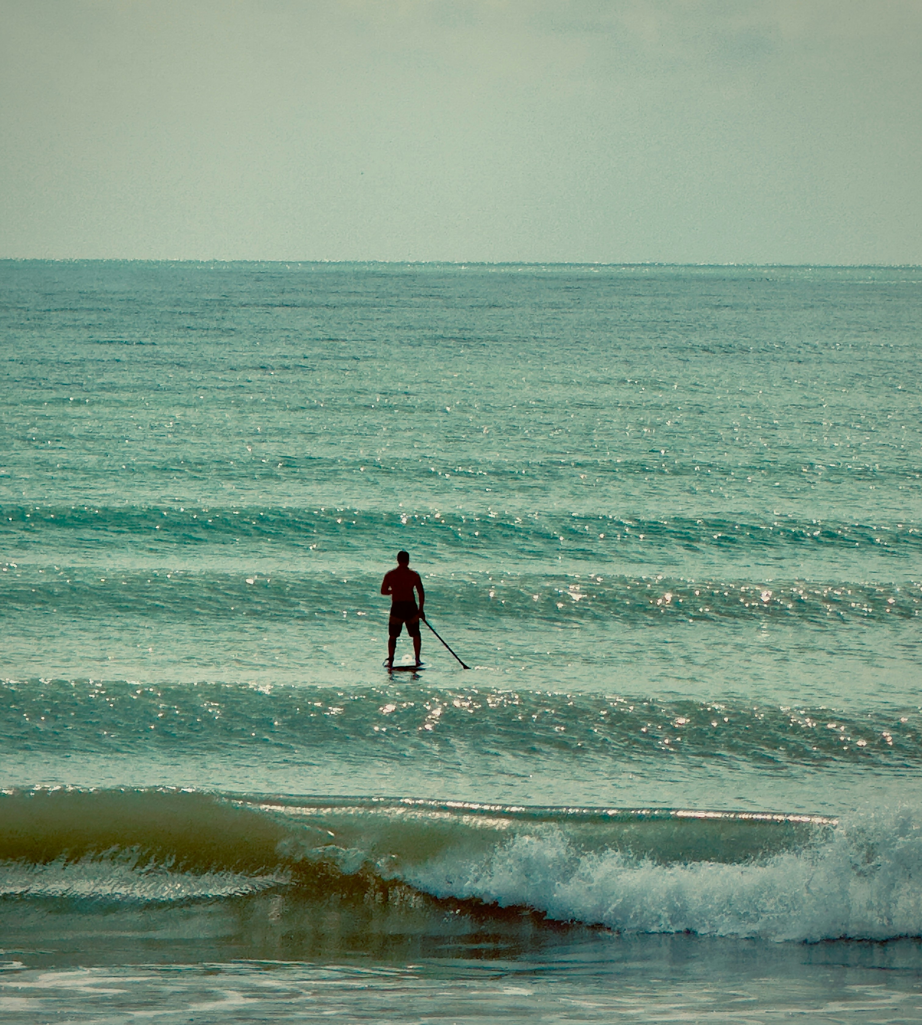 Photo by filipefrancapb2