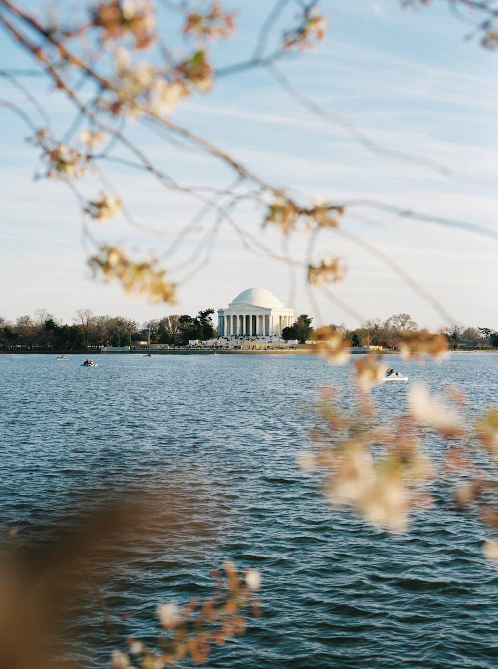 Una veduta del Jefferson Memorial dall'altra parte dell'acqua