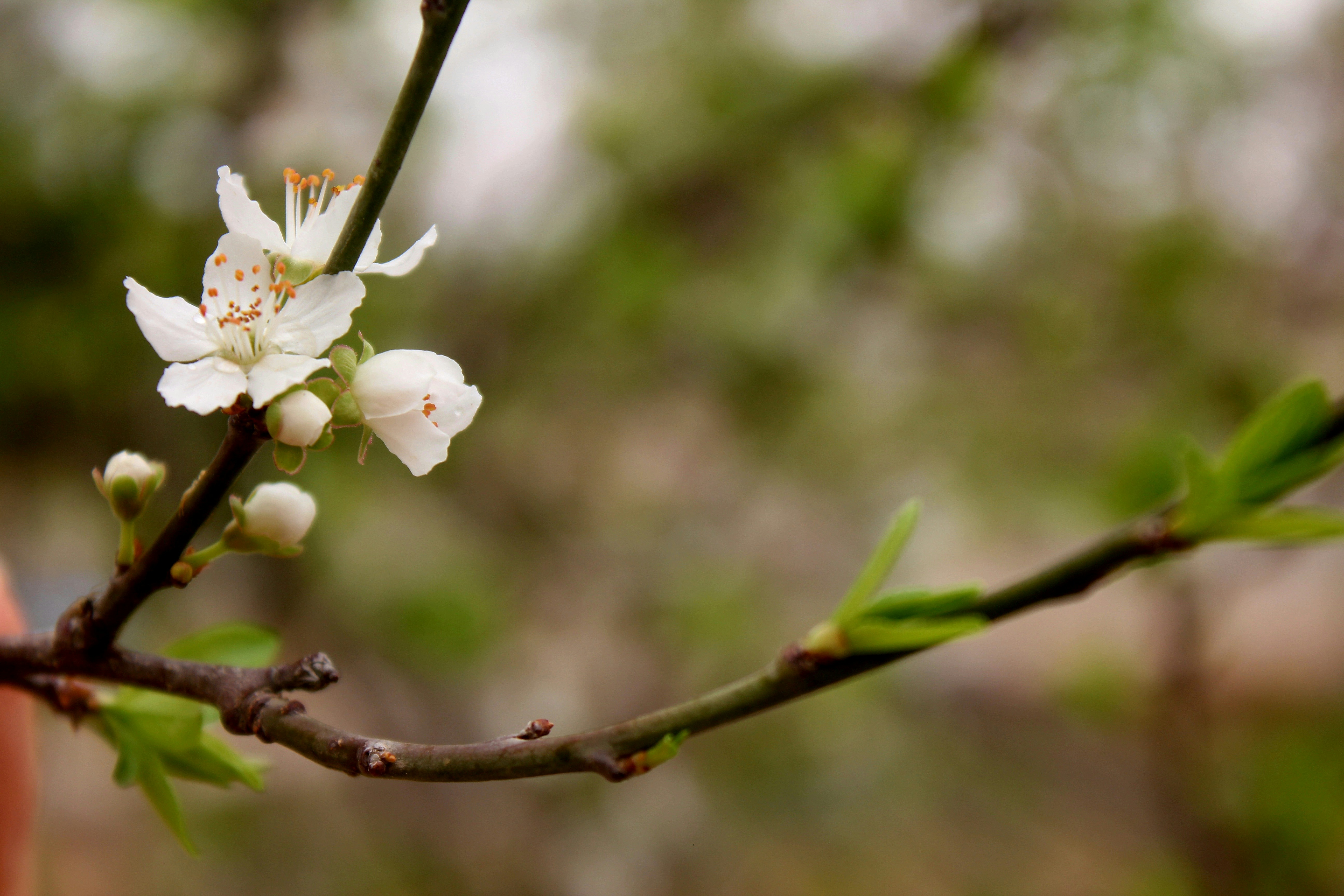 Photo by manavimoghadam