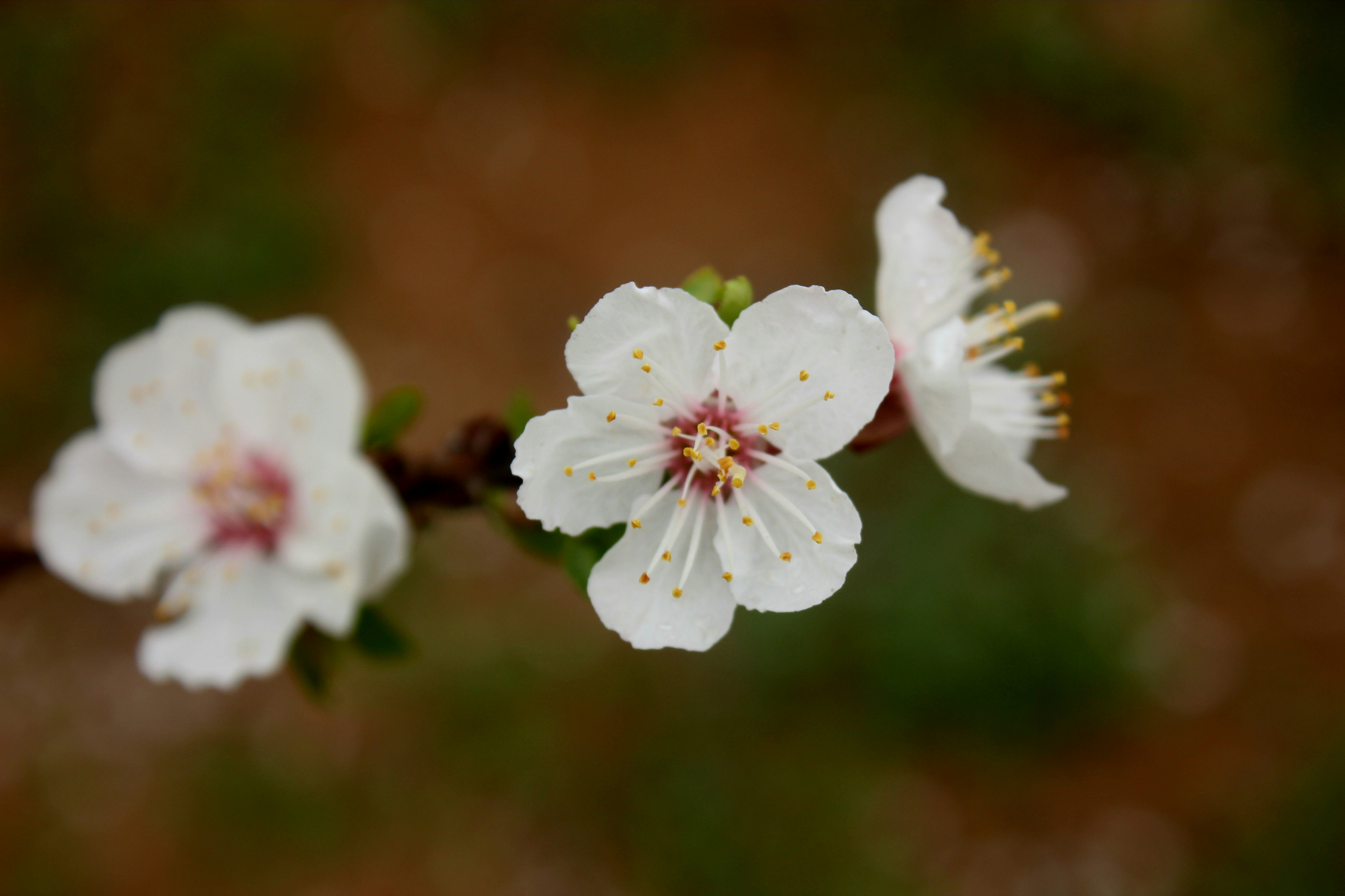 Photo by manavimoghadam