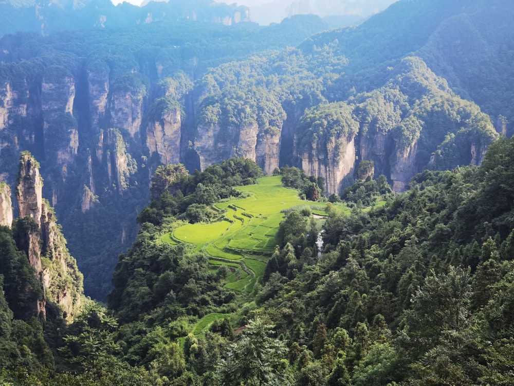 a green valley surrounded by mountains and trees