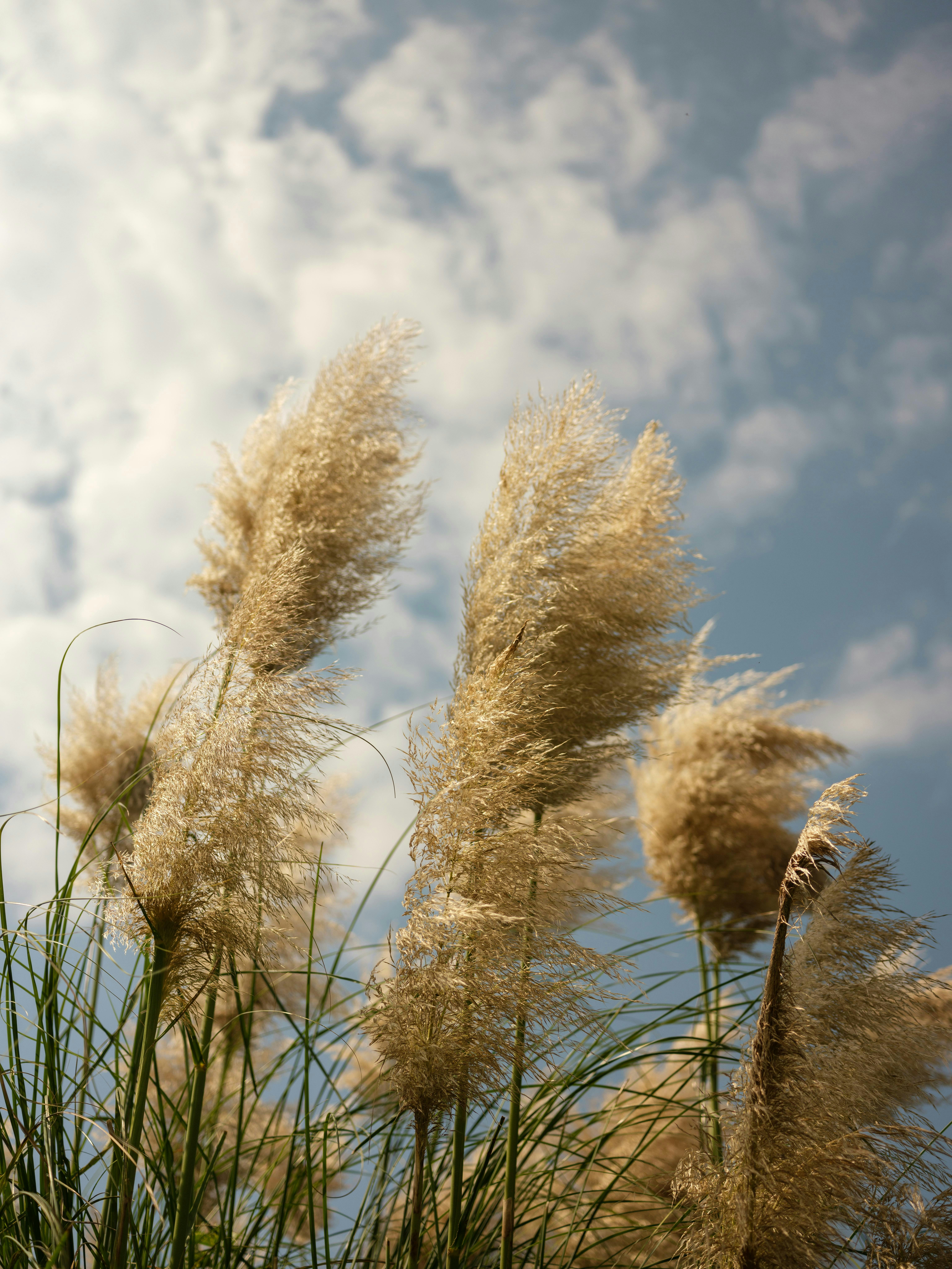 Photo by leon_morgado