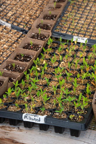 a bunch of plants that are in some pots