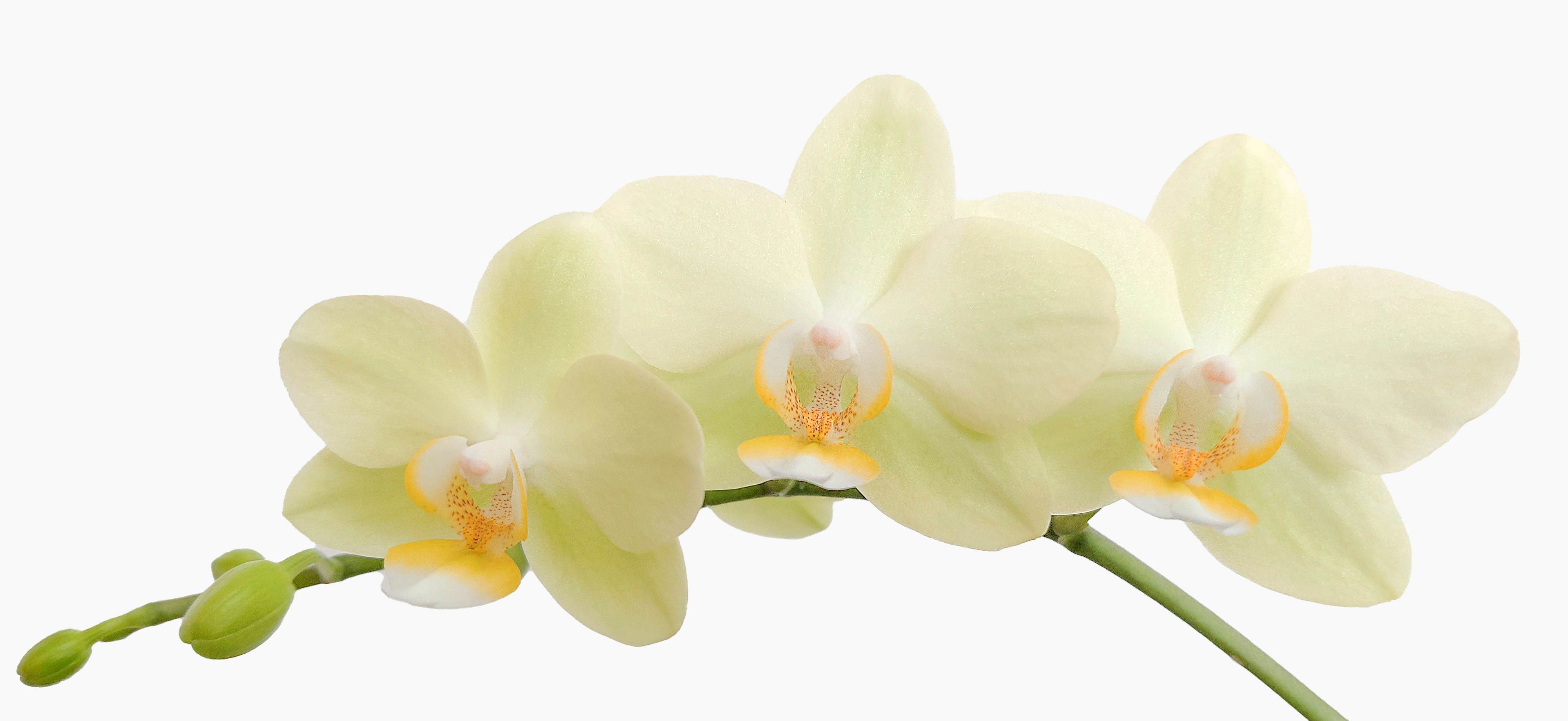 Photo by mariolaszeliga