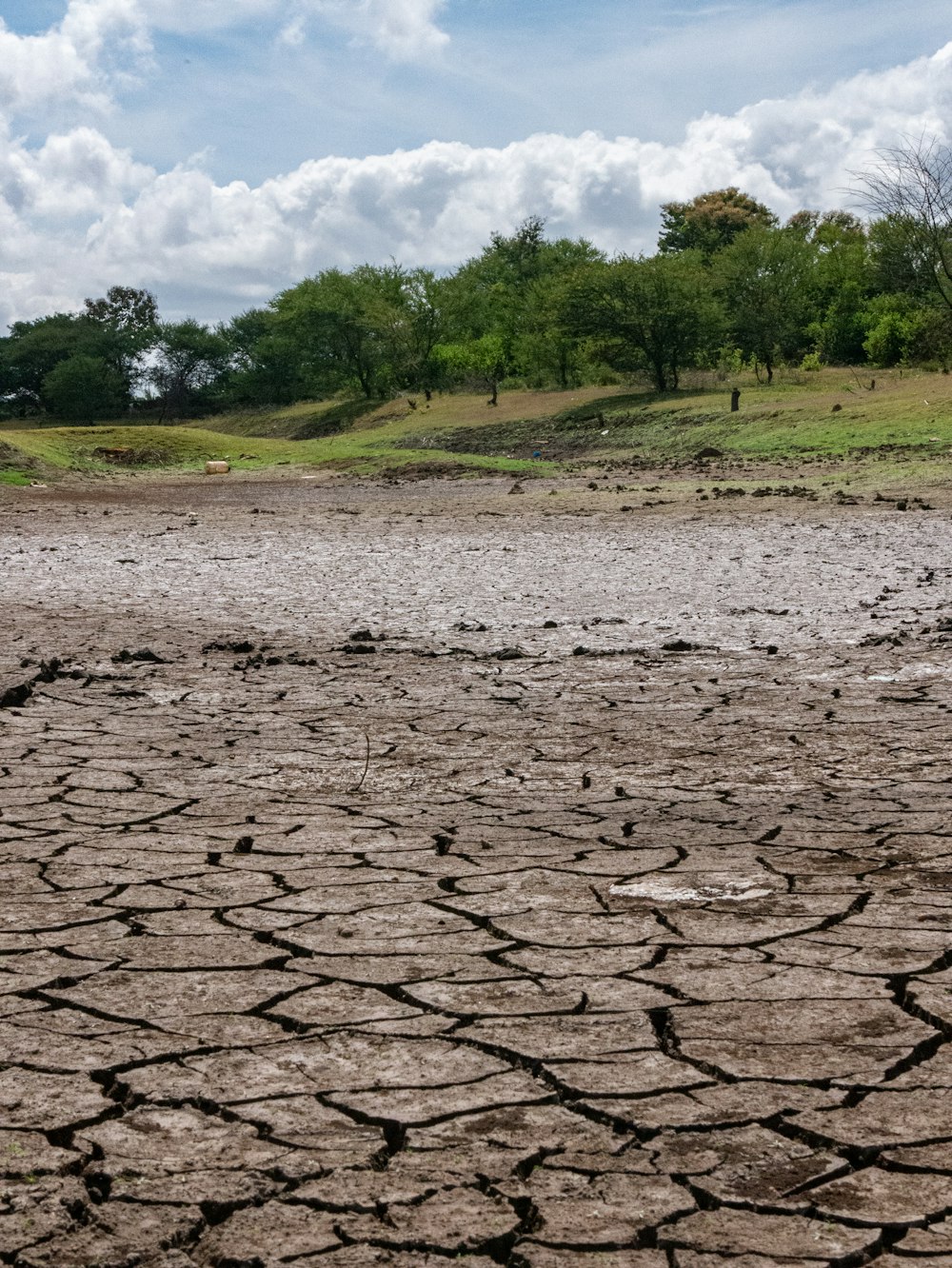 a man riding a horse across a dry grass field