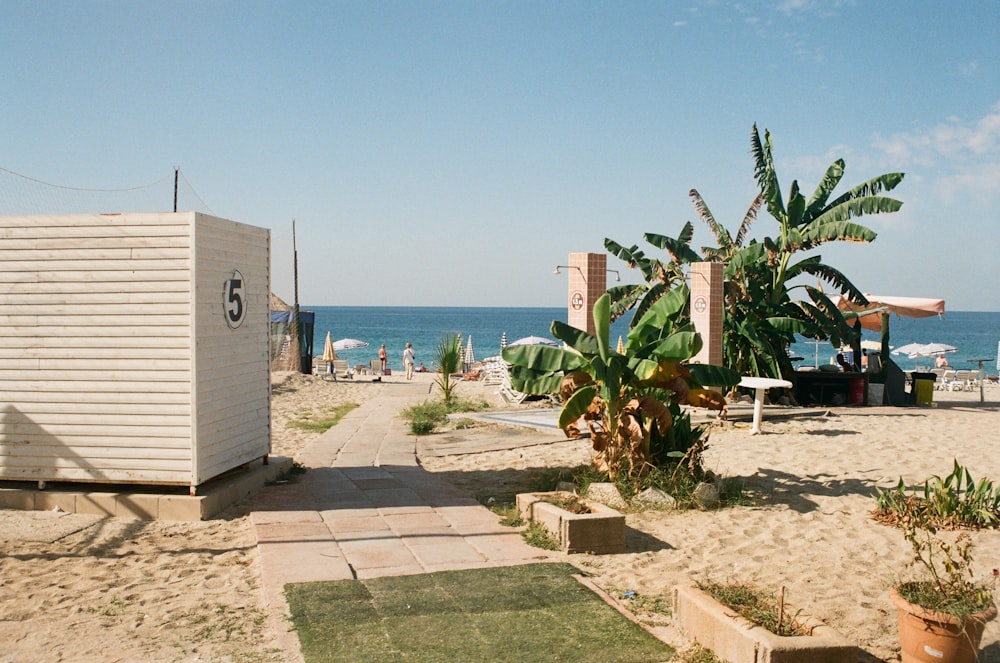 a beach with a small building and a palm tree