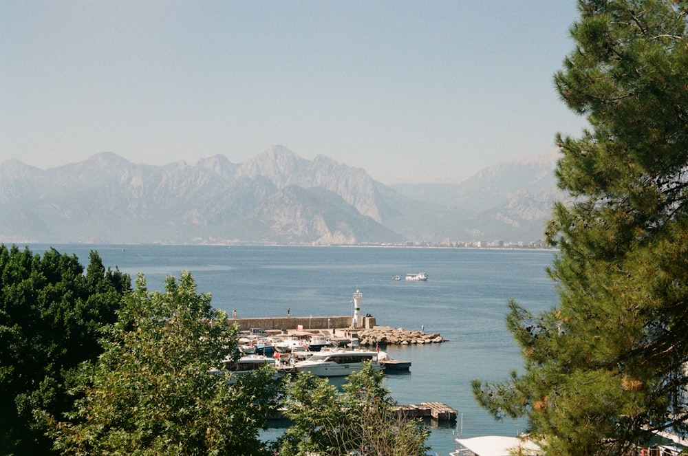 a view of a harbor with boats and mountains in the background