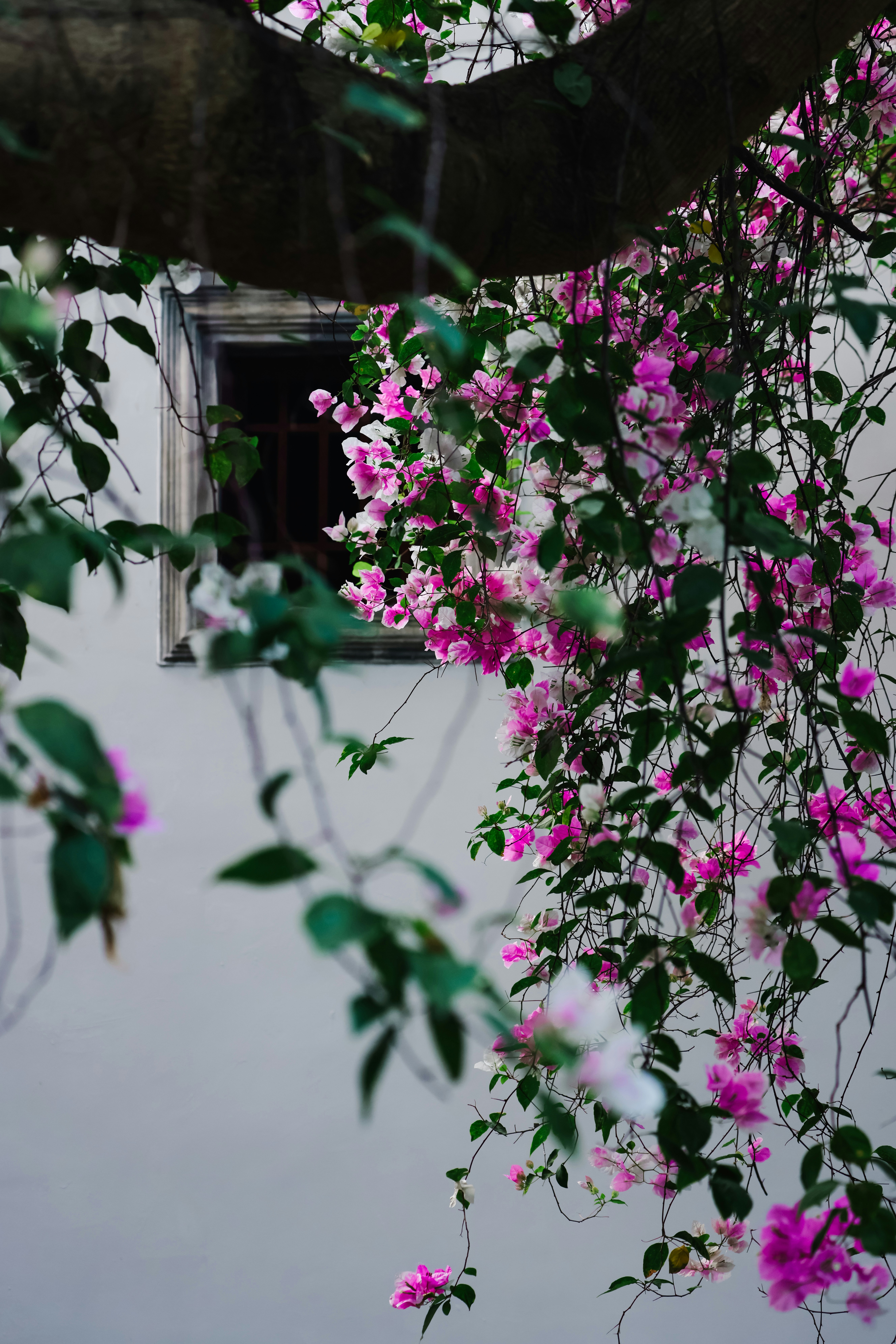 Photo by dickenslin76