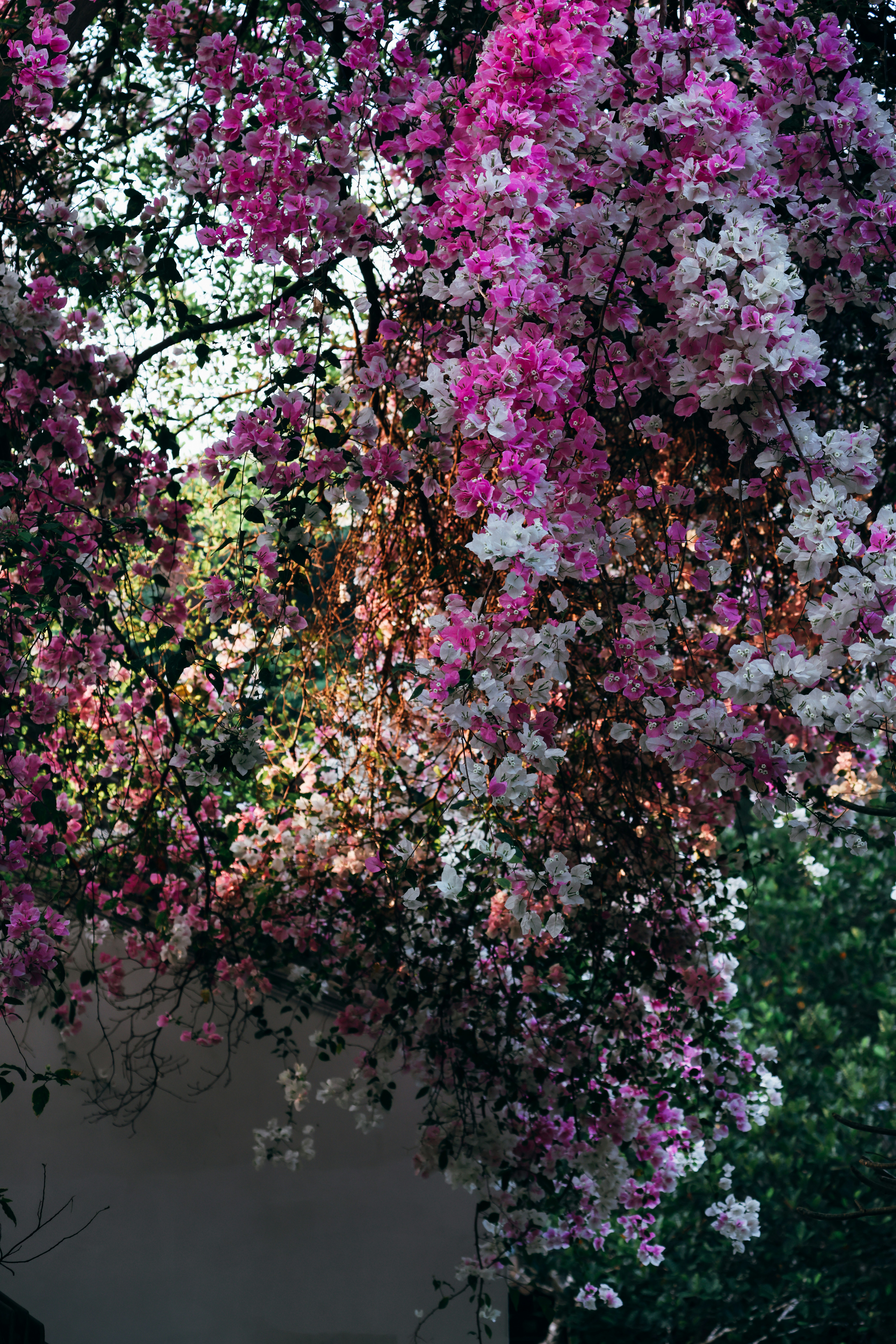 Photo by dickenslin76