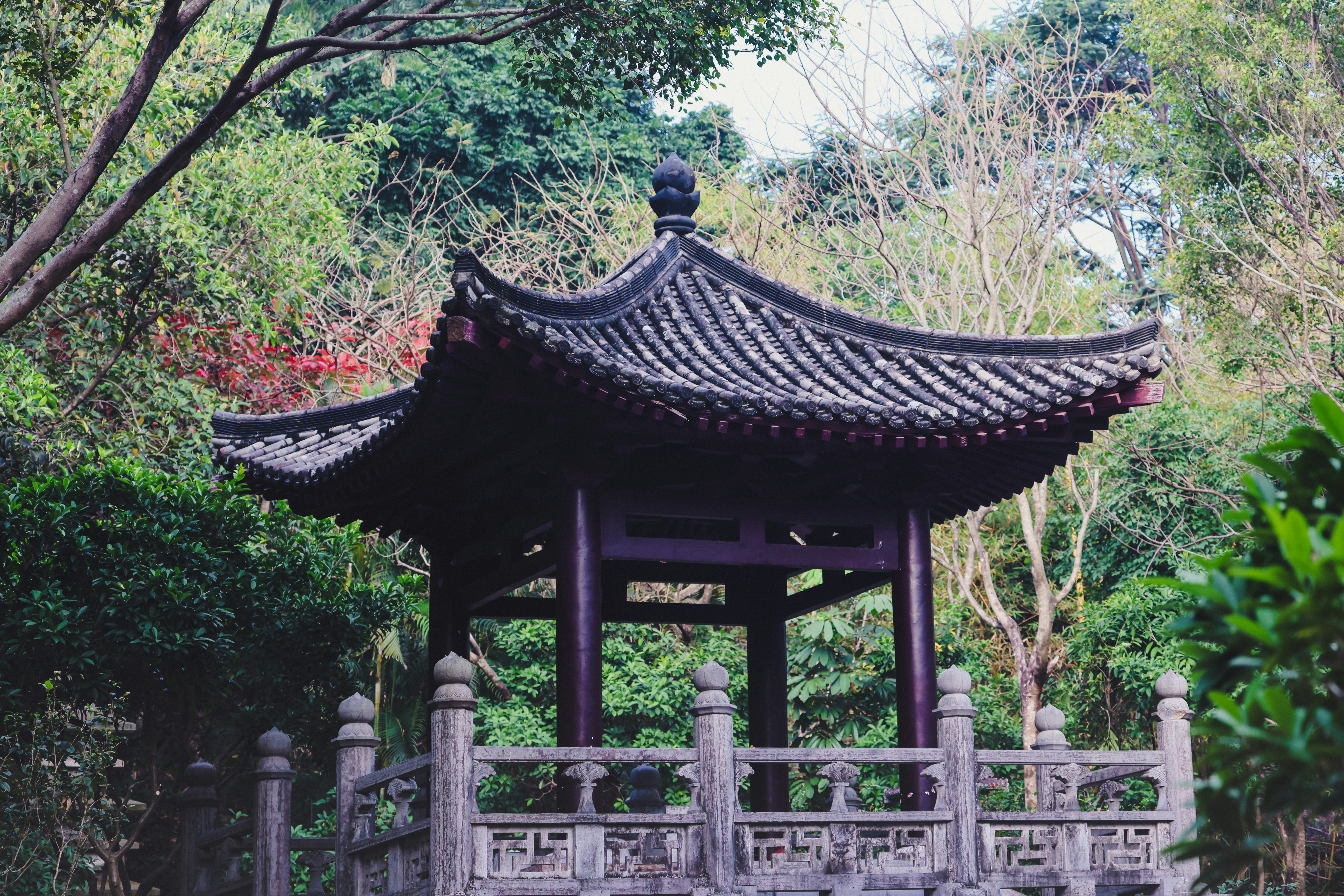 Photo by dickenslin76