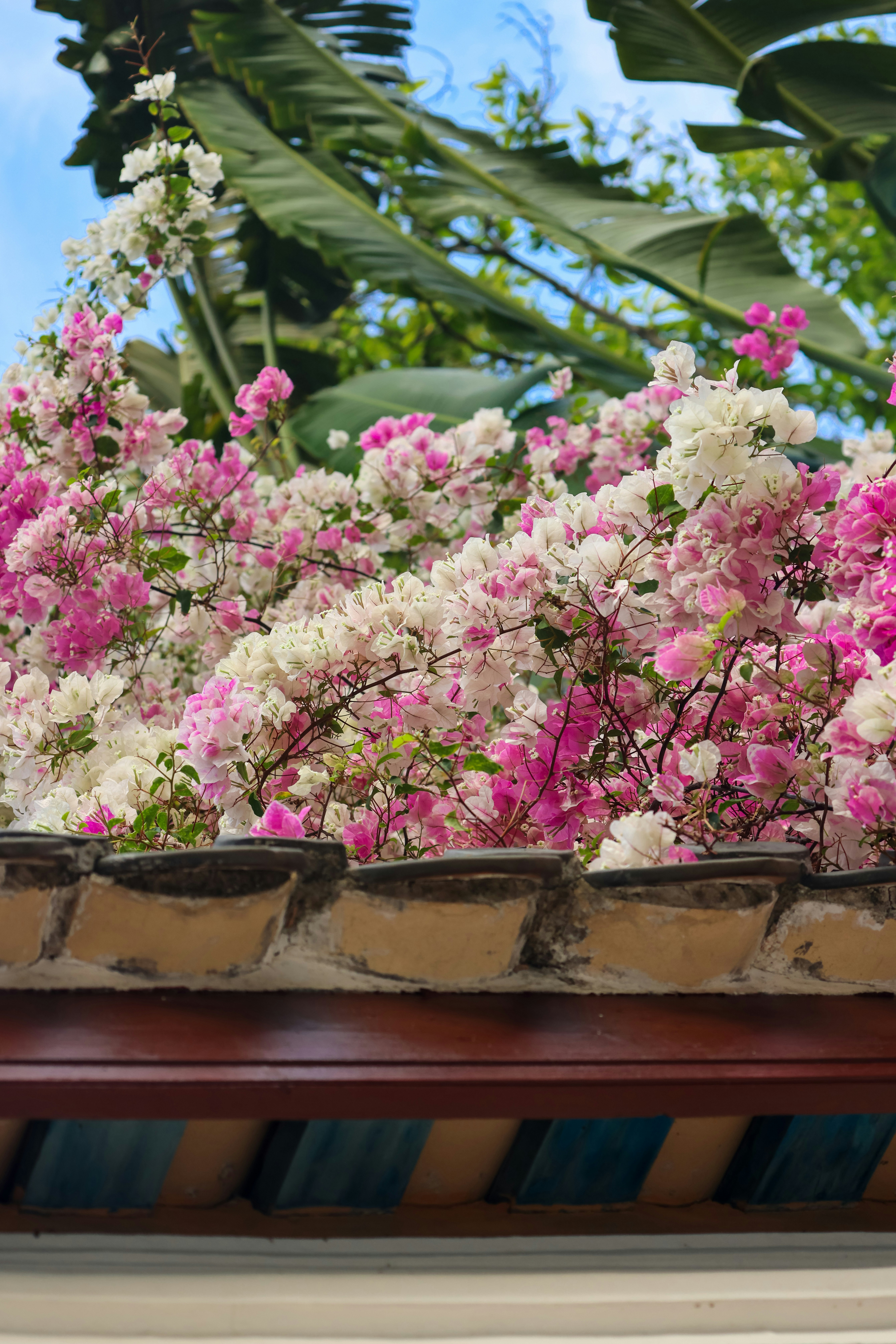 Photo by dickenslin76