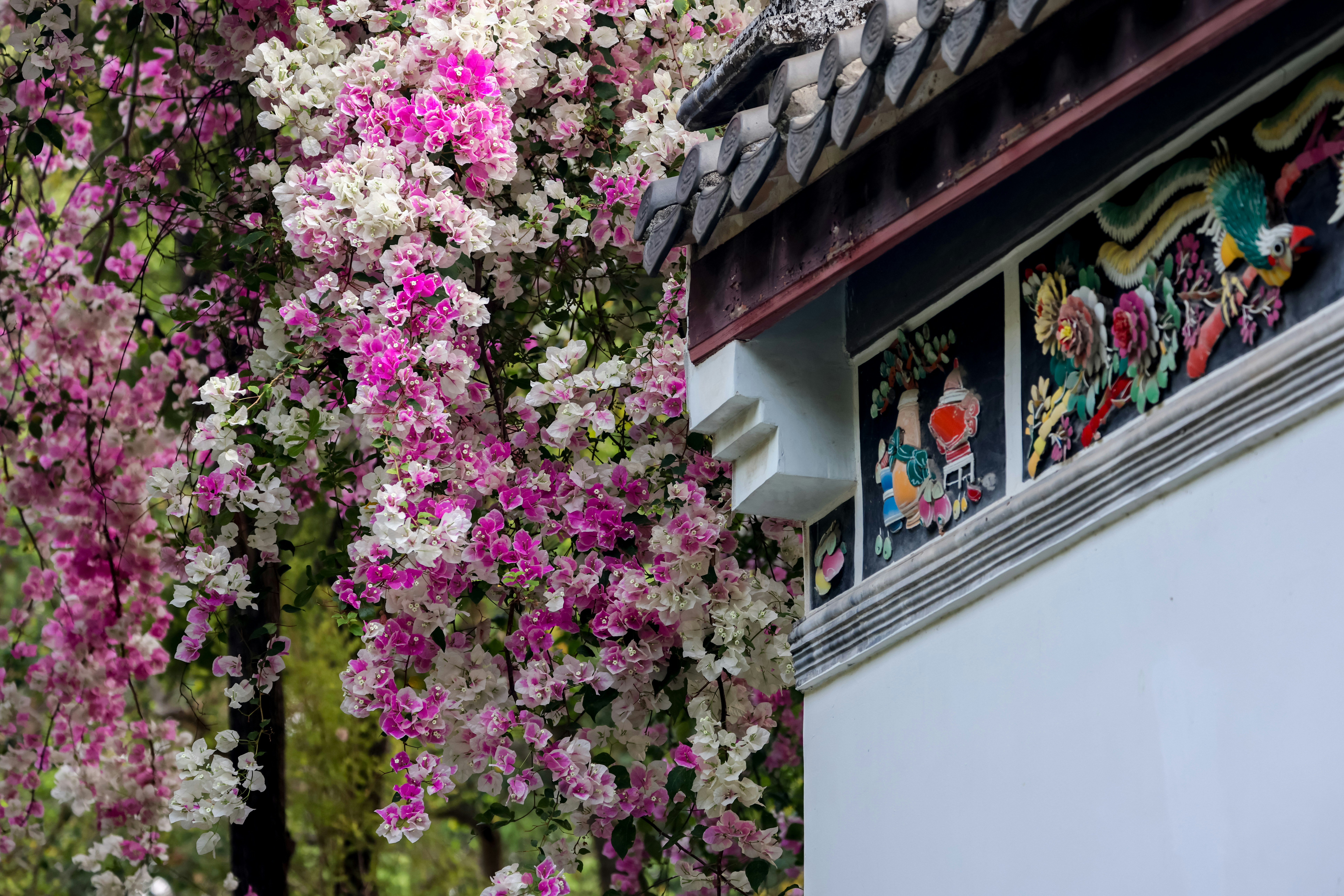 Photo by dickenslin76