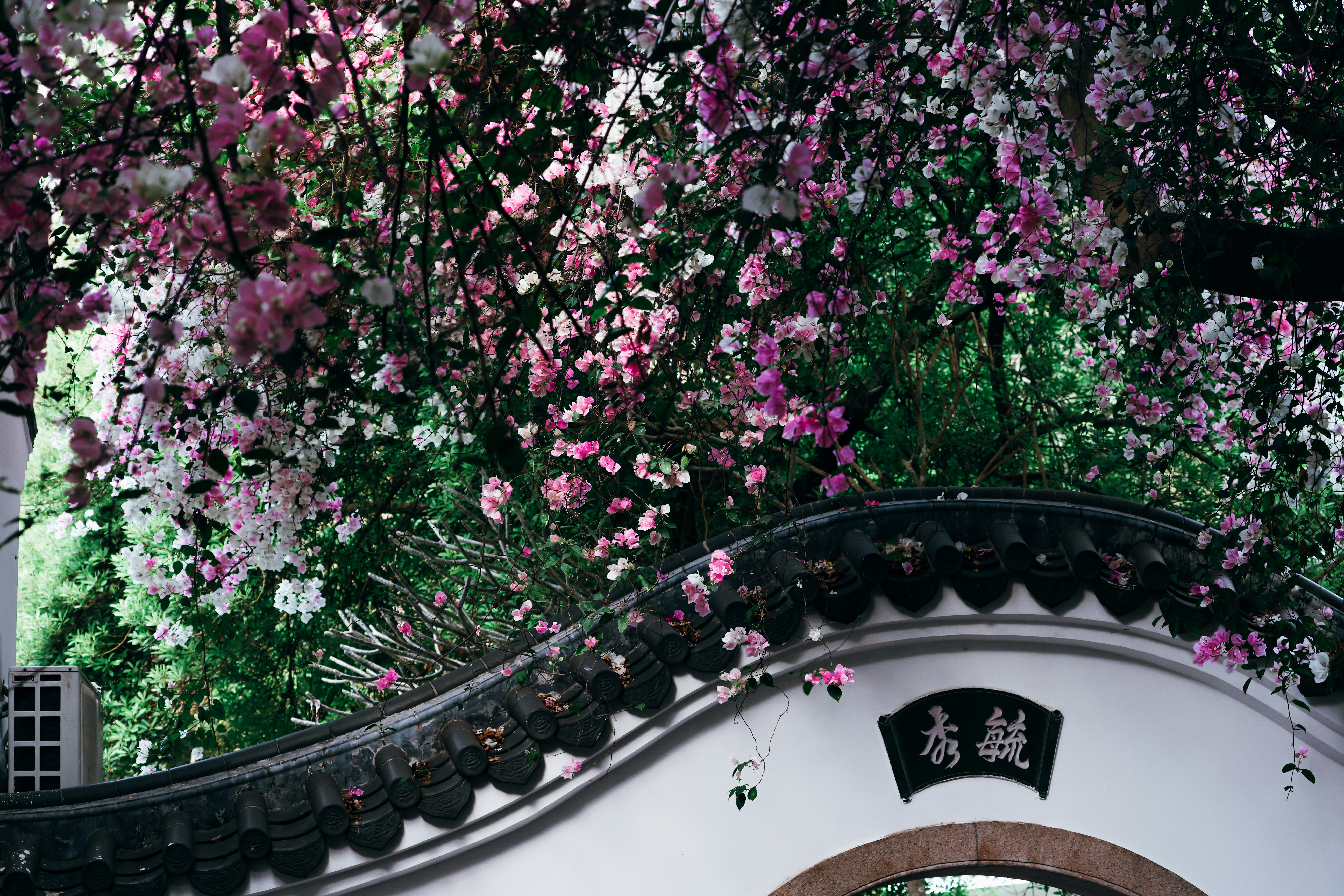 Photo by dickenslin76