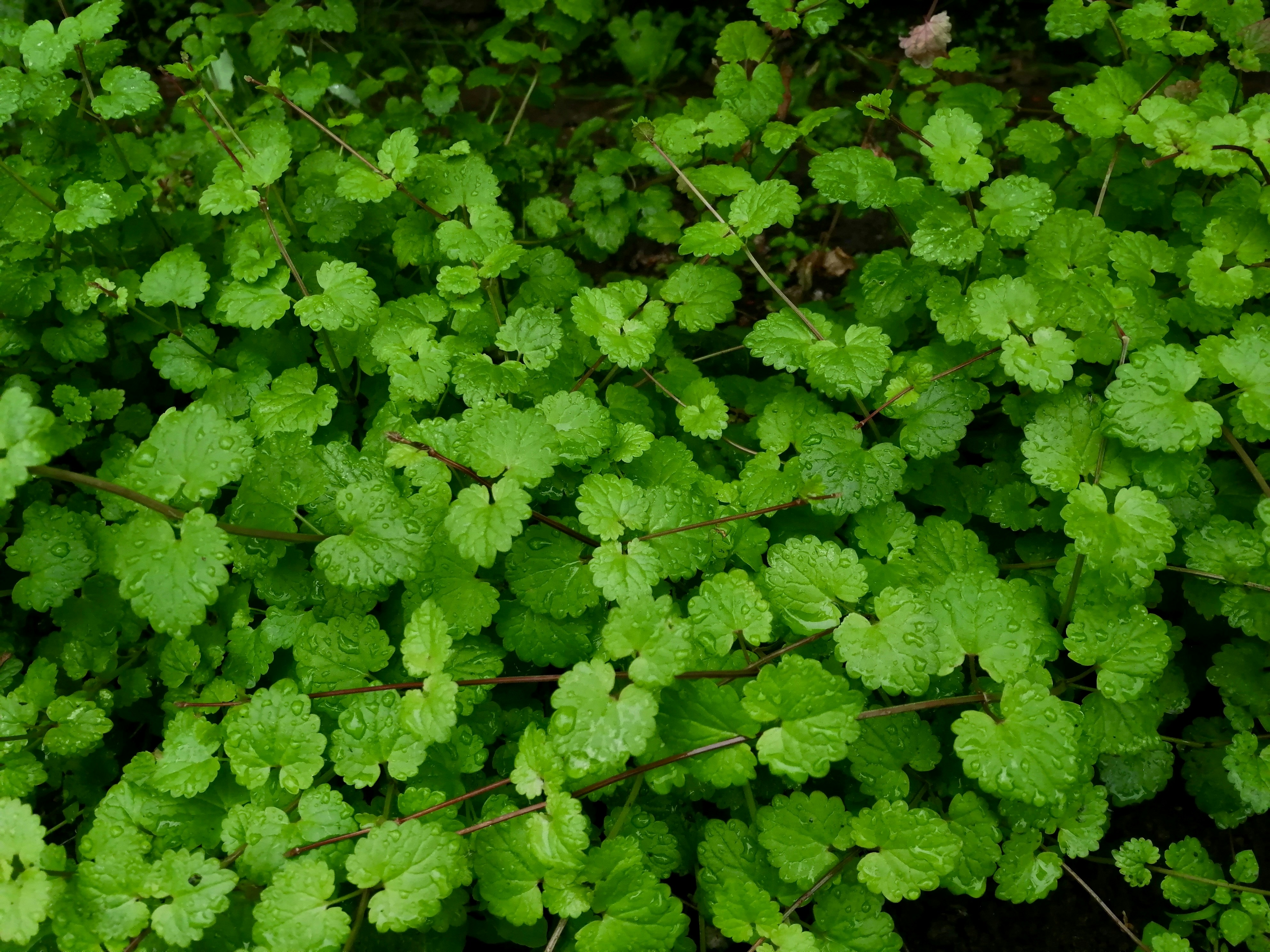 Photo by katrin_bloom