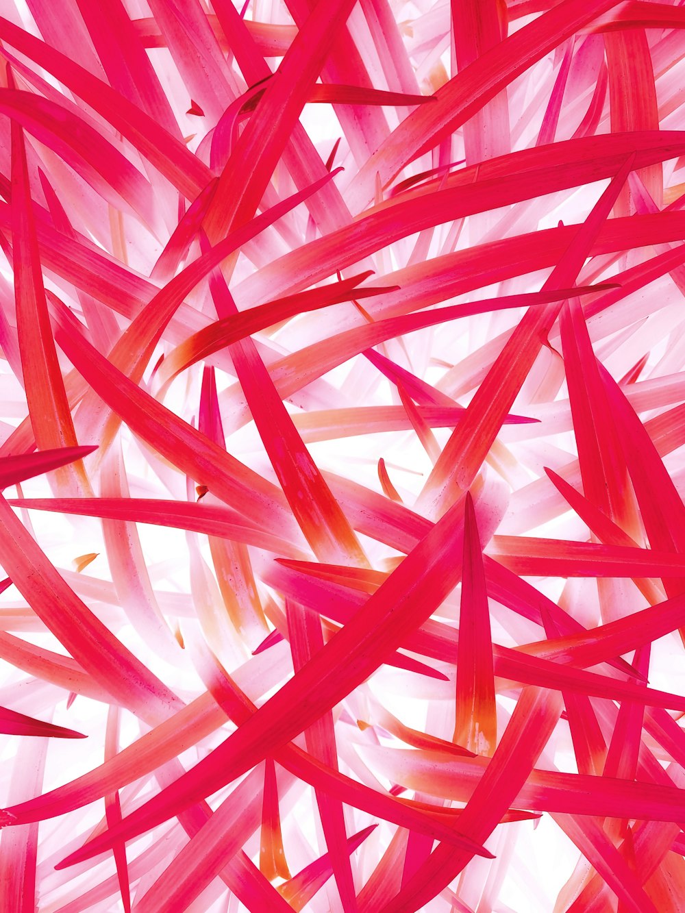 a close up of a red and white abstract painting