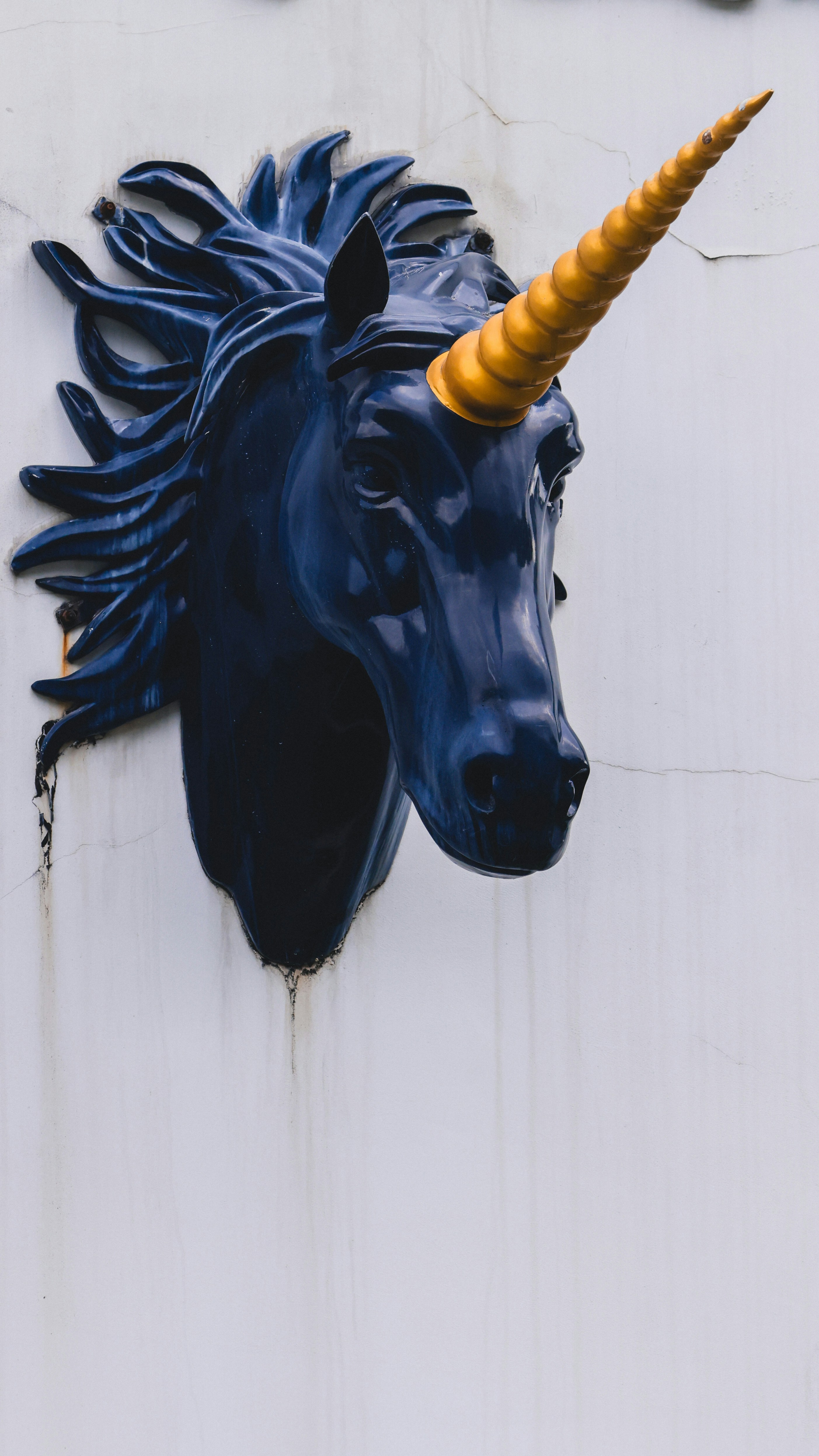 Photo by dickenslin76