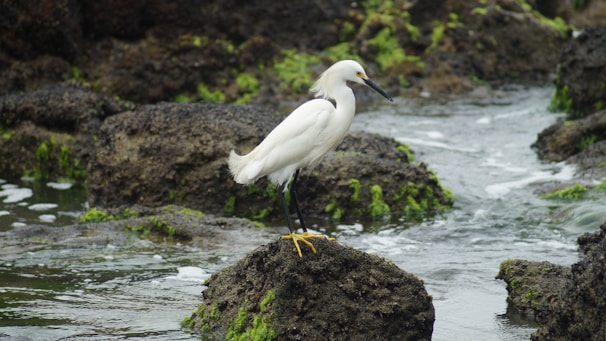 LDHORIZON - Empreendimentos