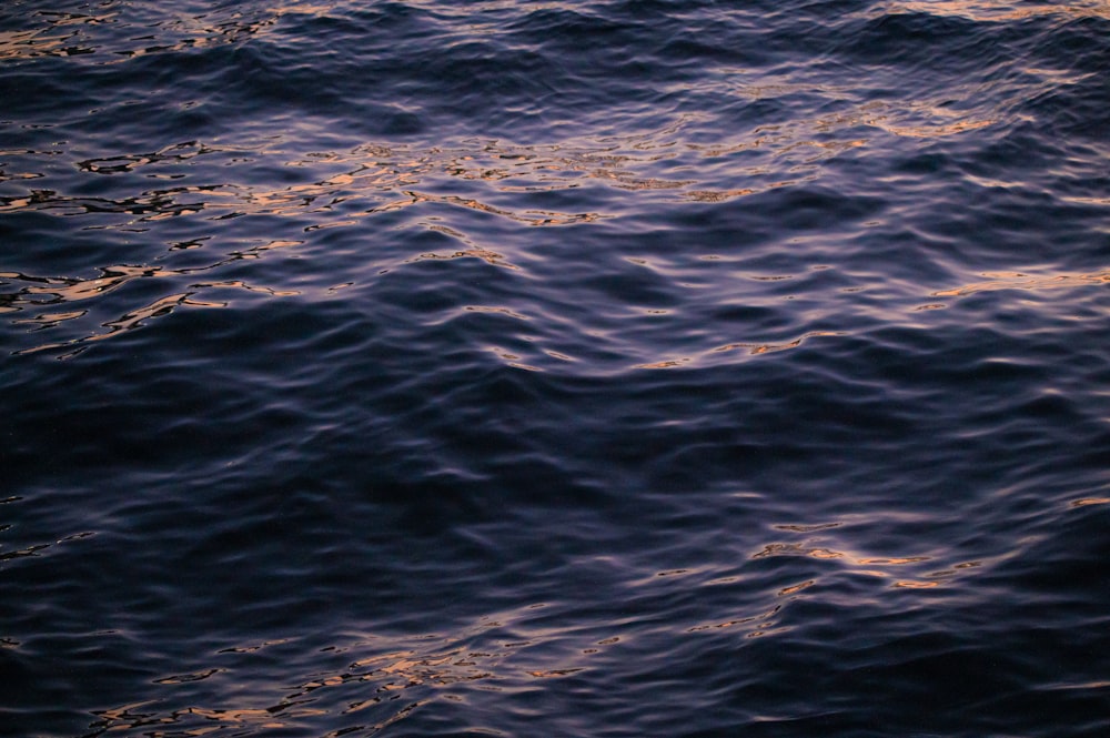 a large body of water with a boat in the distance