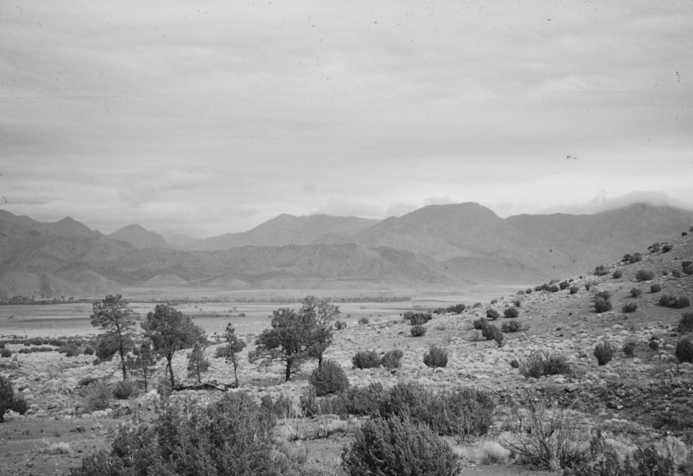 a black and white photo of mountains and trees