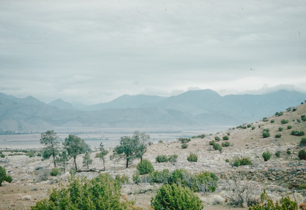 uma vista de montanhas e árvores à distância