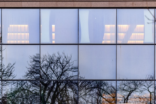 the reflection of trees in the windows of a building