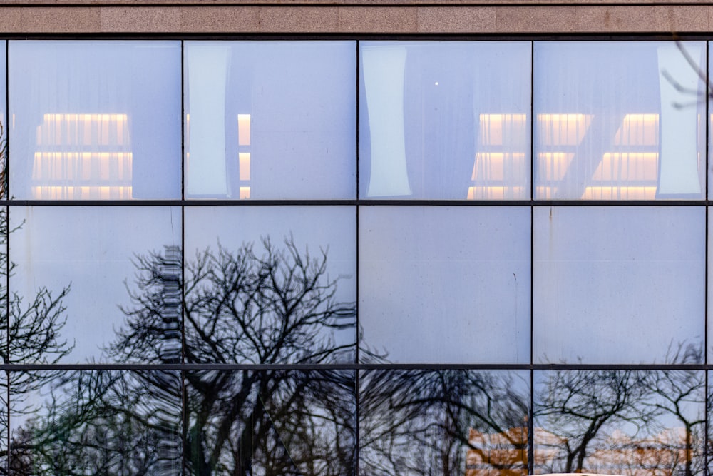 the reflection of trees in the windows of a building