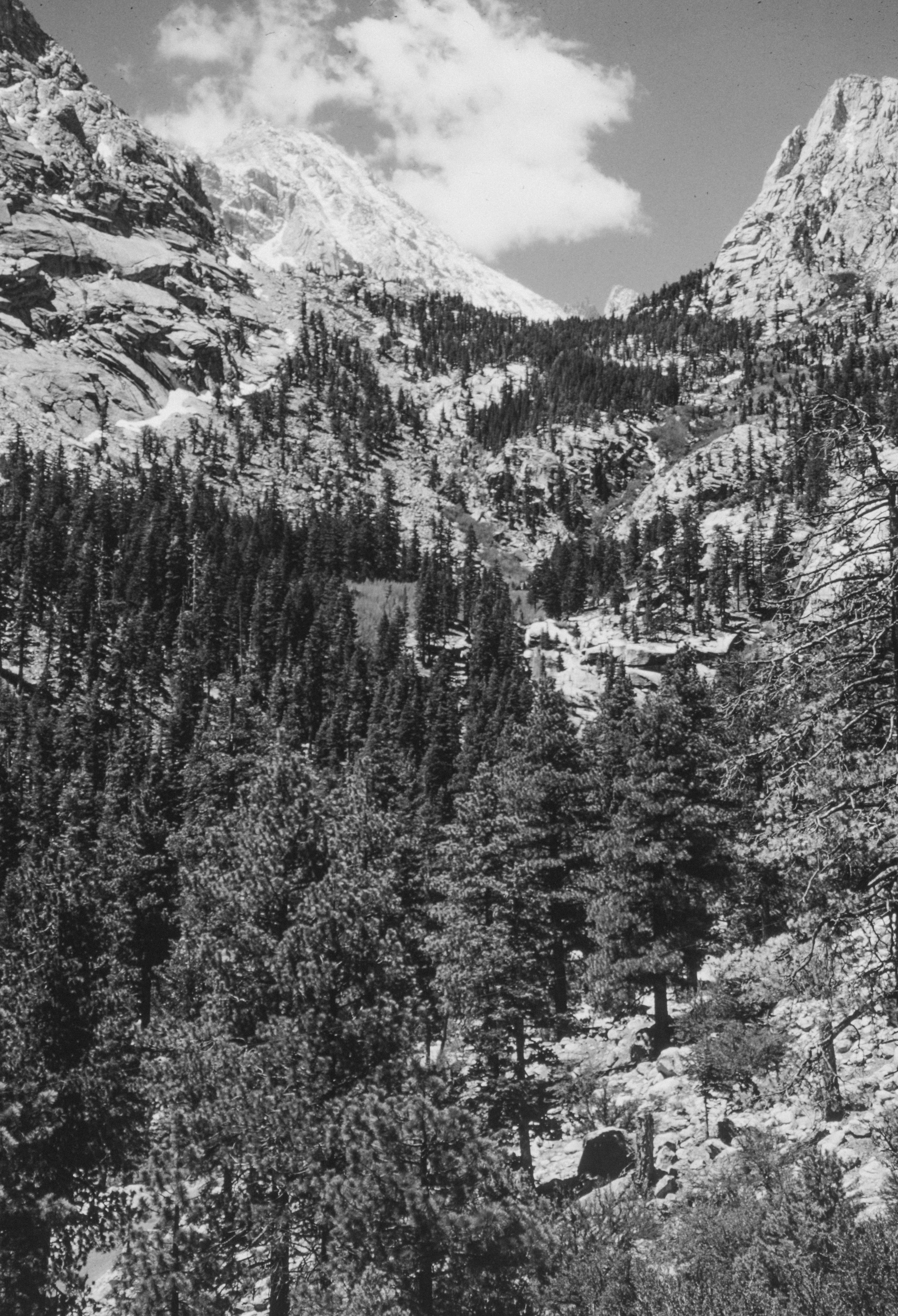 Photo by anniespratt