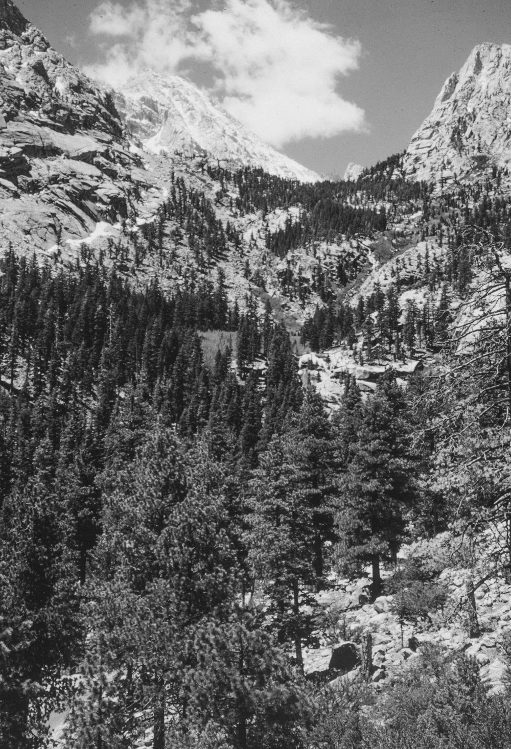 a black and white photo of a mountain