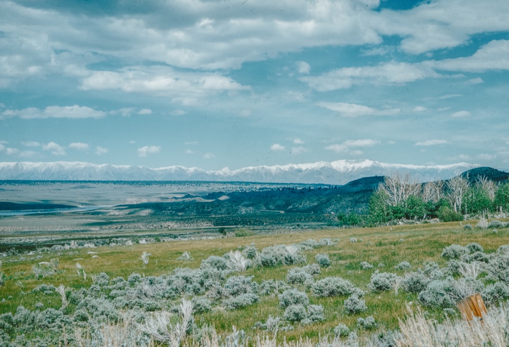 a grassy field with mountains in the distance